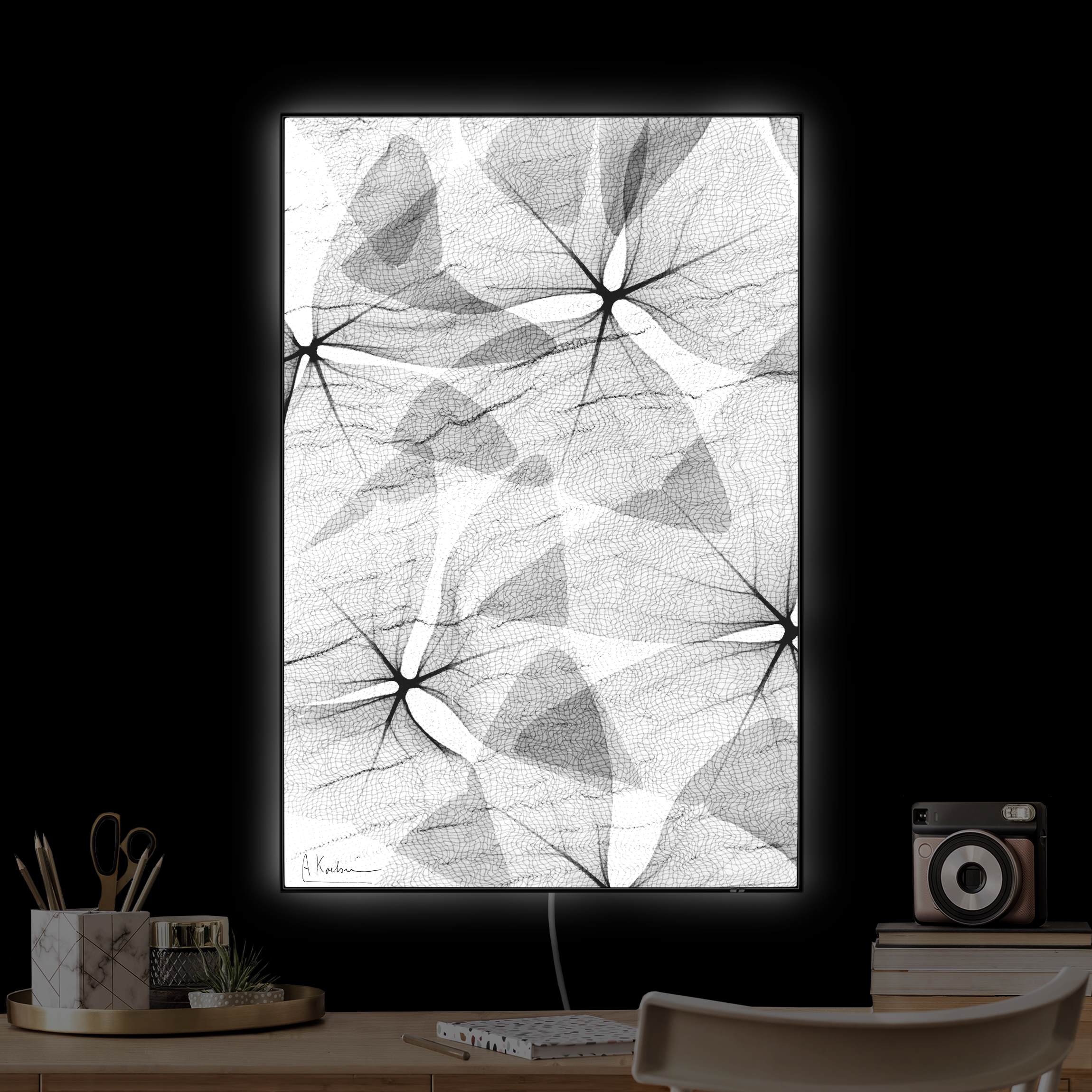 LED-Wechselbild X-Ray - Dreiecksklee mit Textil