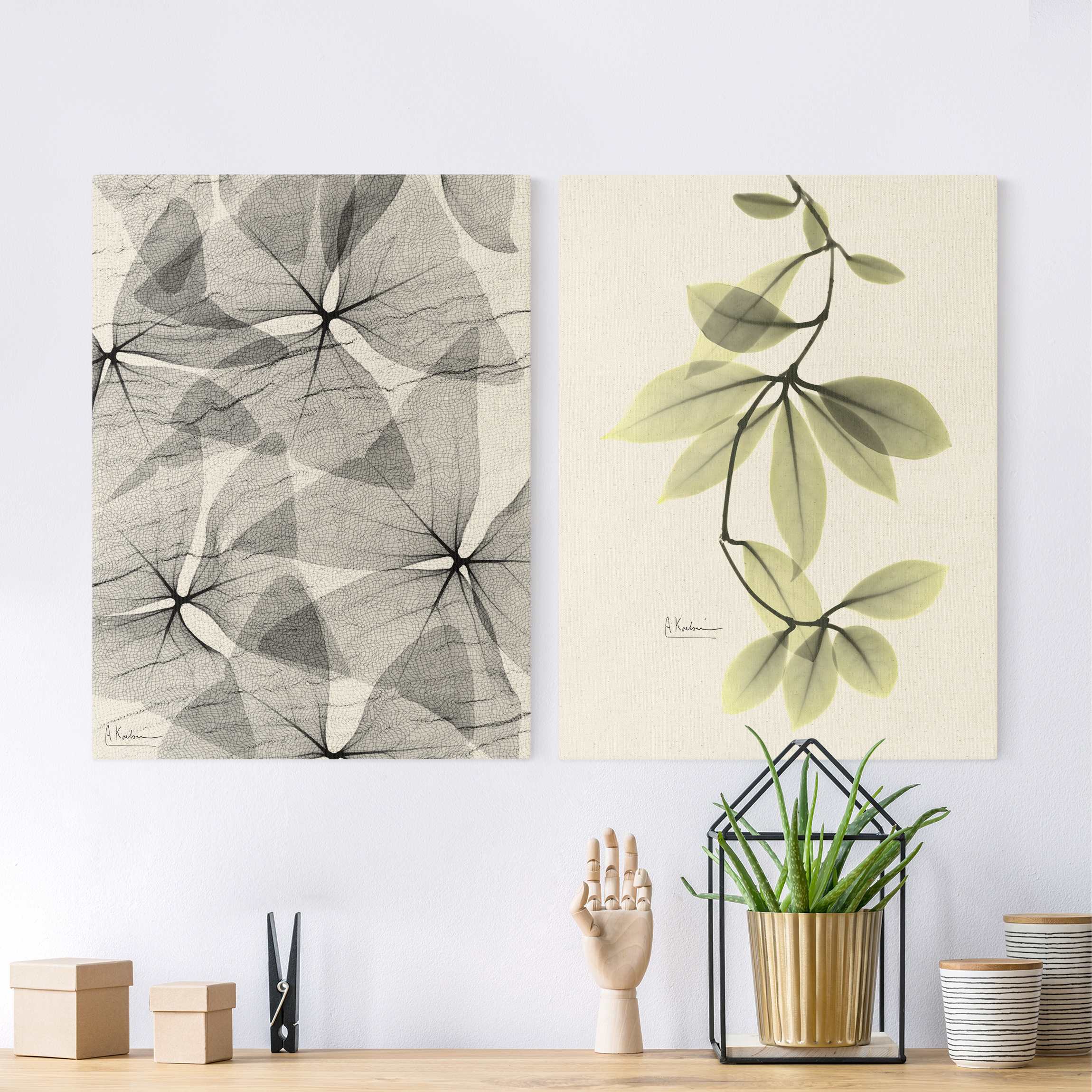 2-teiliges Leinwandbild X-Ray - Dreiecksklee und Porzellanblumenblätter