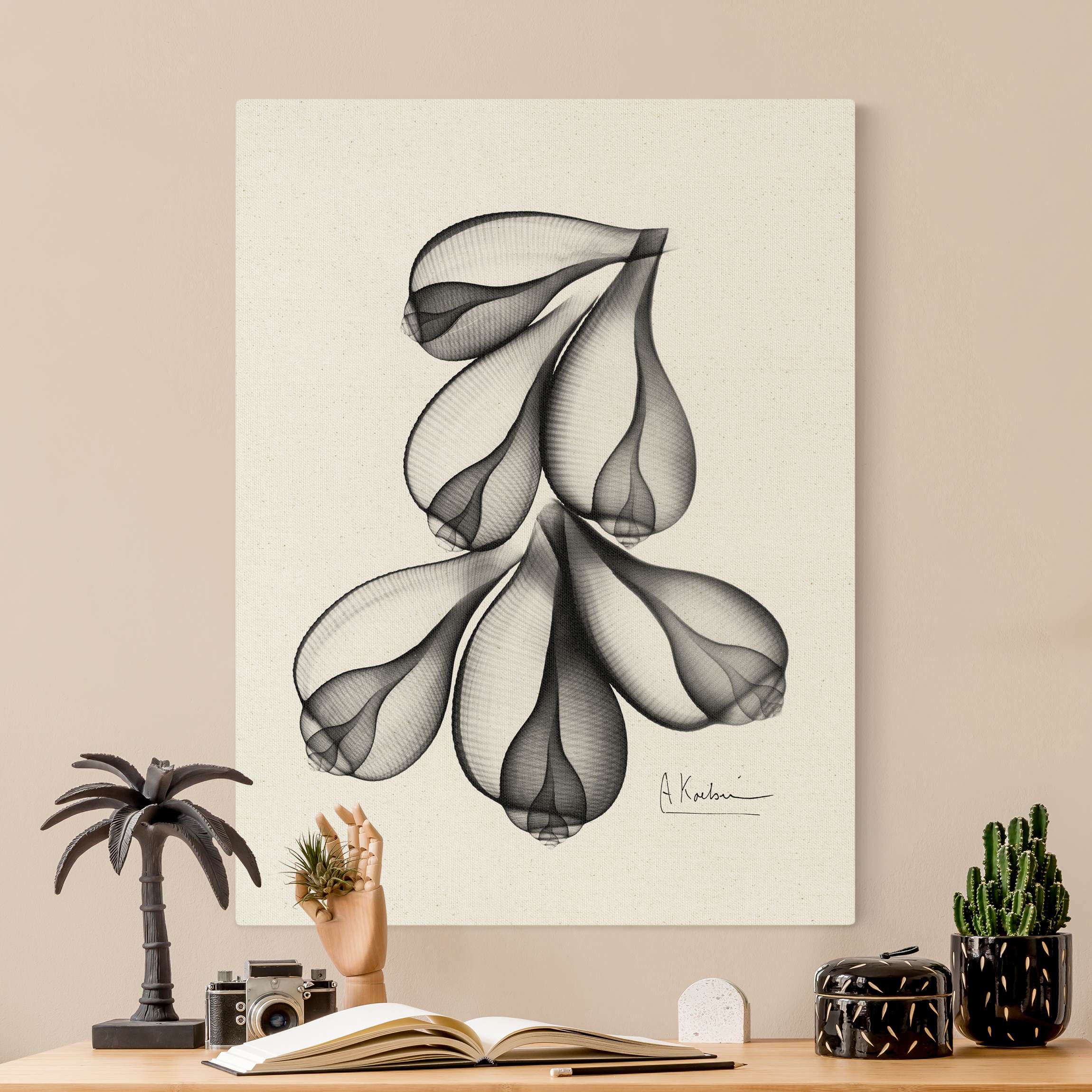 Leinwandbild auf Naturcanvas X-Ray - Feigenschalen