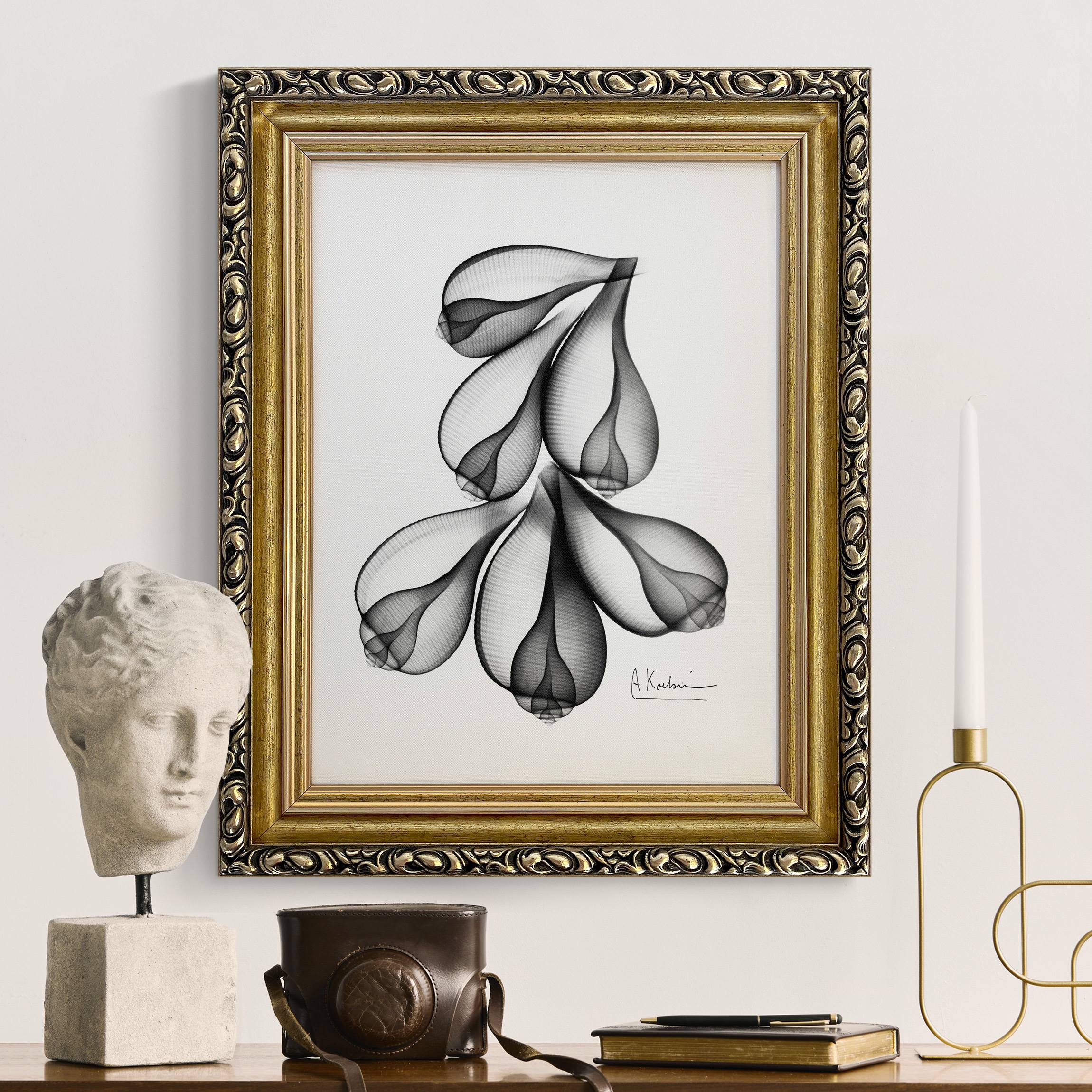 Leinwandbild mit Barockrahmen X-Ray - Feigenschalen