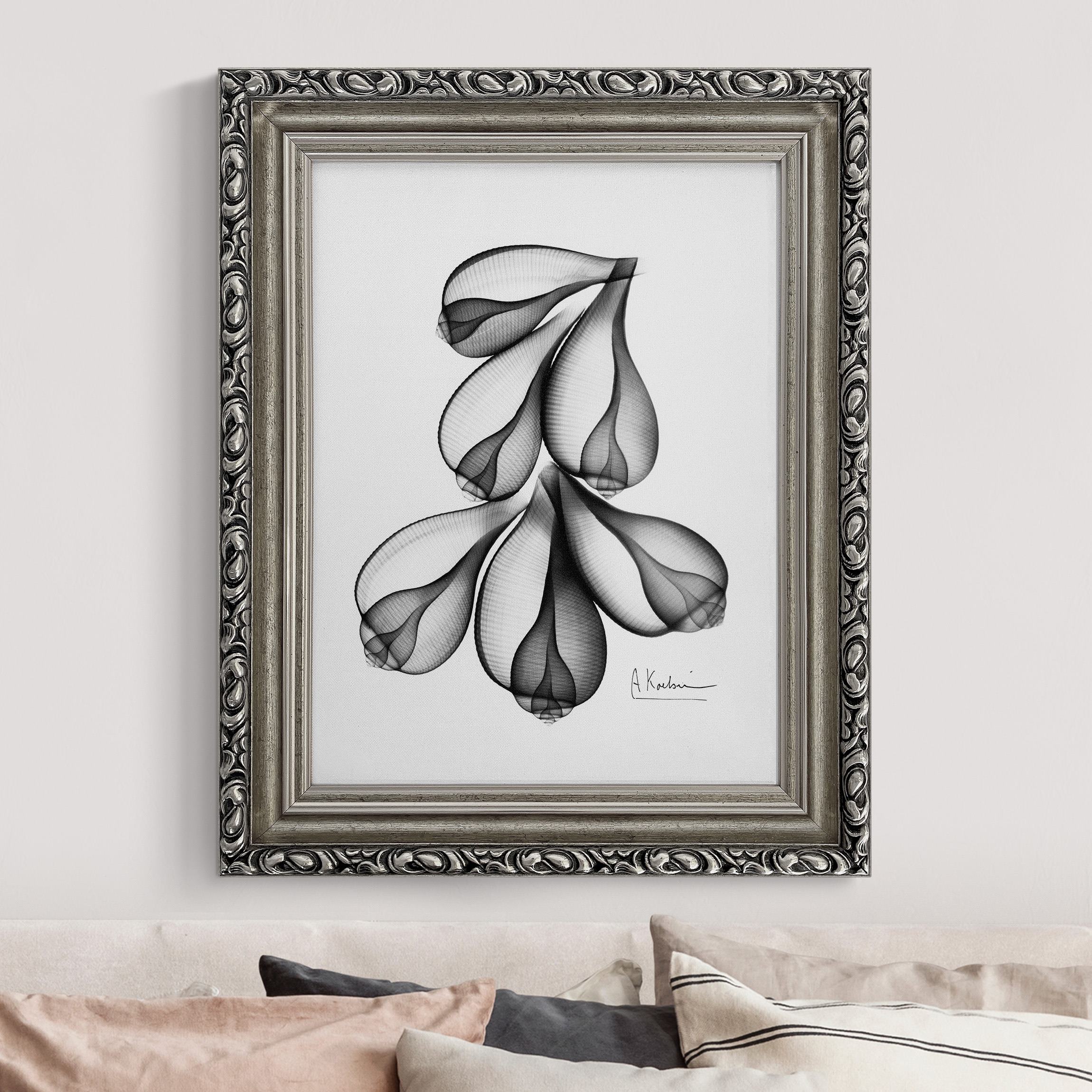 Leinwandbild mit Barockrahmen X-Ray - Feigenschalen