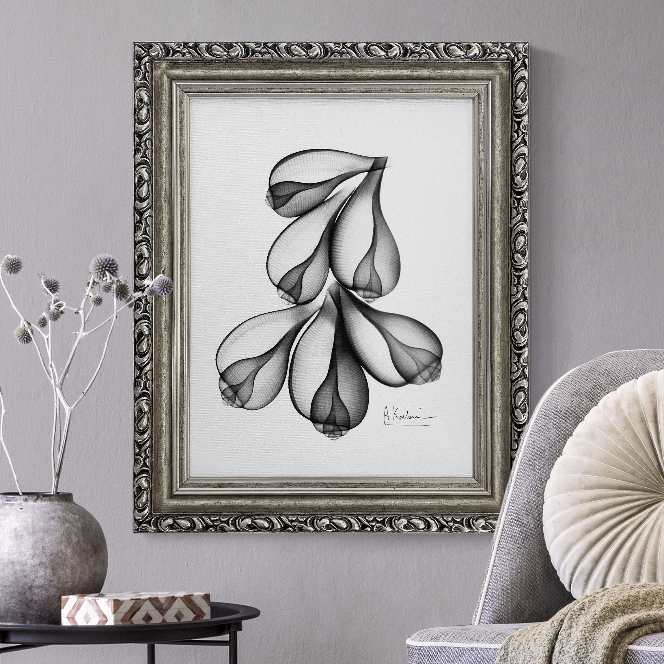 Leinwandbild in Barockrahmen X-Ray - Feigenschalen