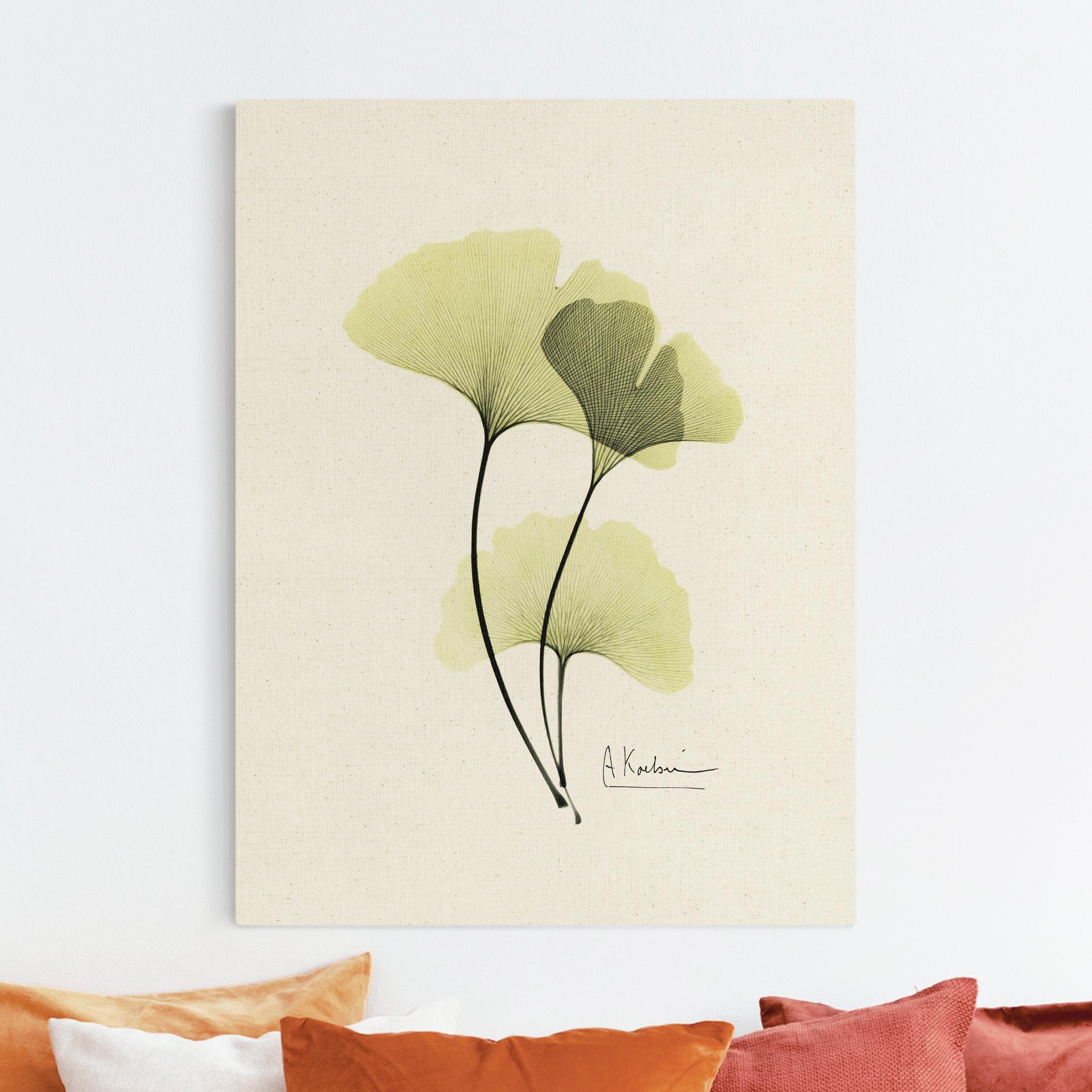 Leinwandbild auf Canvas Natural X-Ray - Ginkgo