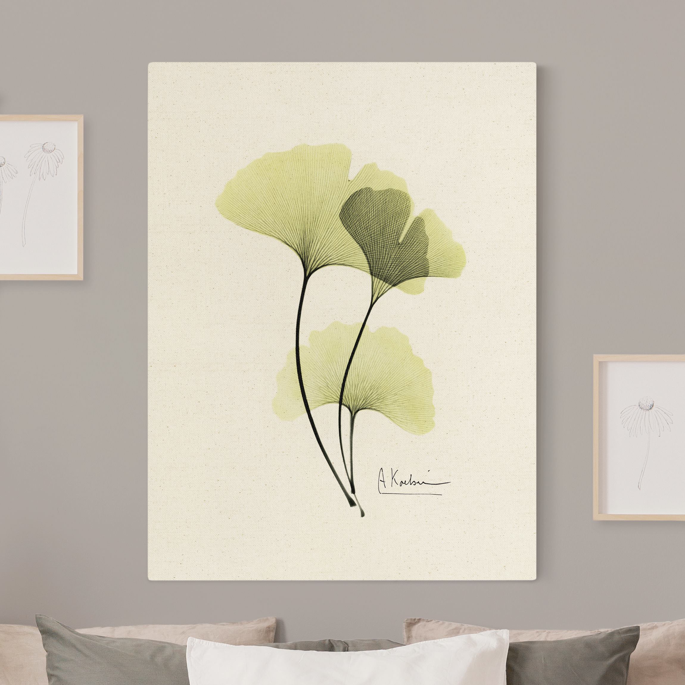 Leinwandbild auf Naturcanvas X-Ray - Ginkgo