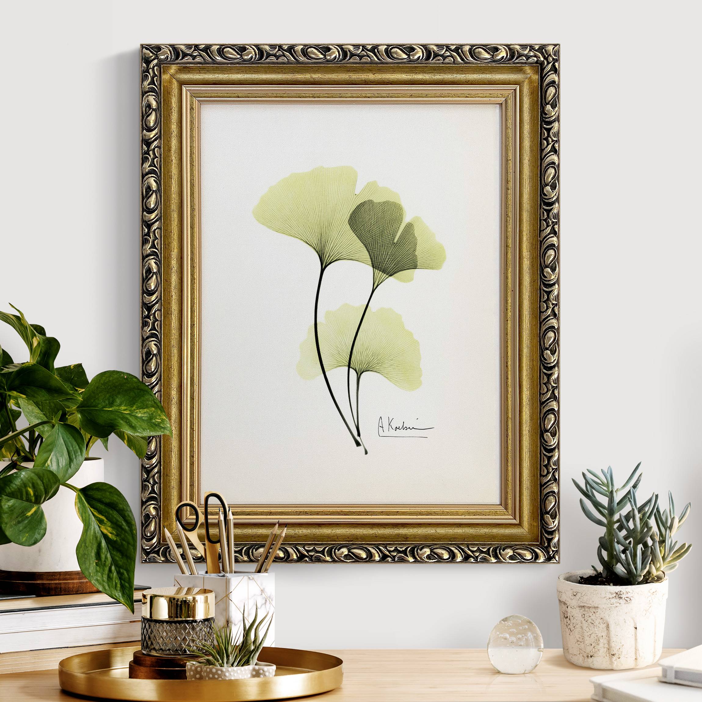 Leinwandbild mit Barockrahmen X-Ray - Ginkgo