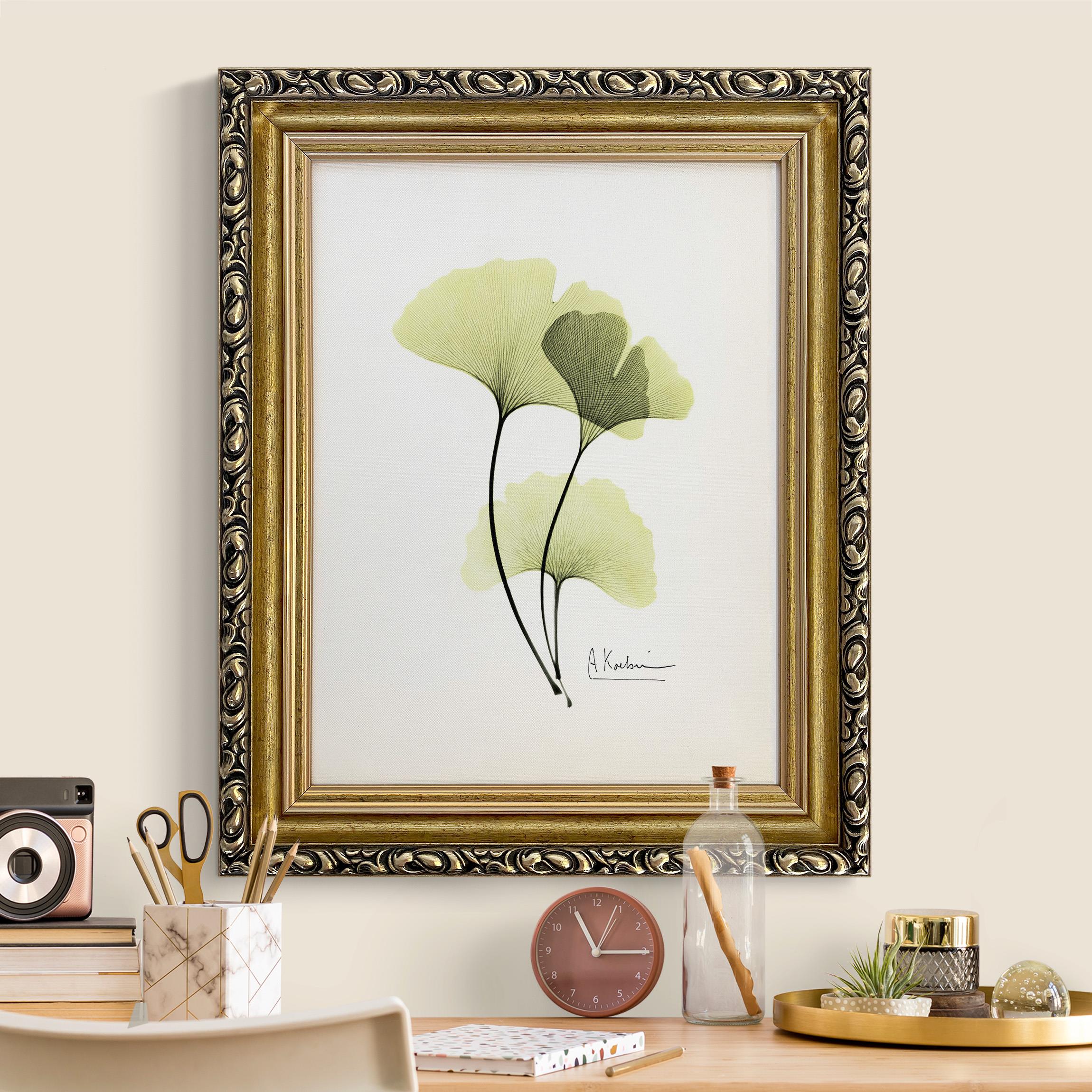 Leinwandbild in Barockrahmen X-Ray - Ginkgo