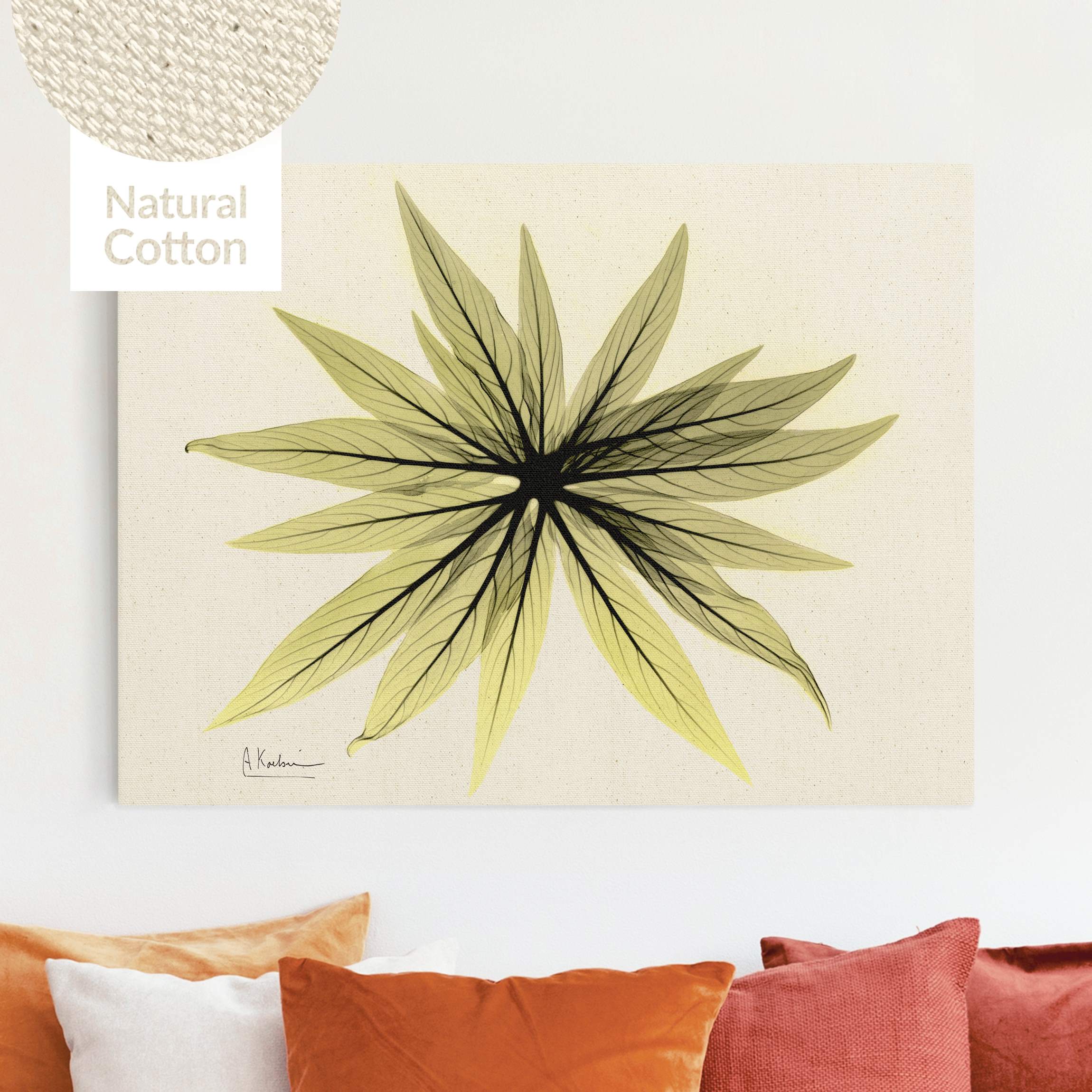Leinwandbild auf Canvas Natural X-Ray - Natternkopfblätter