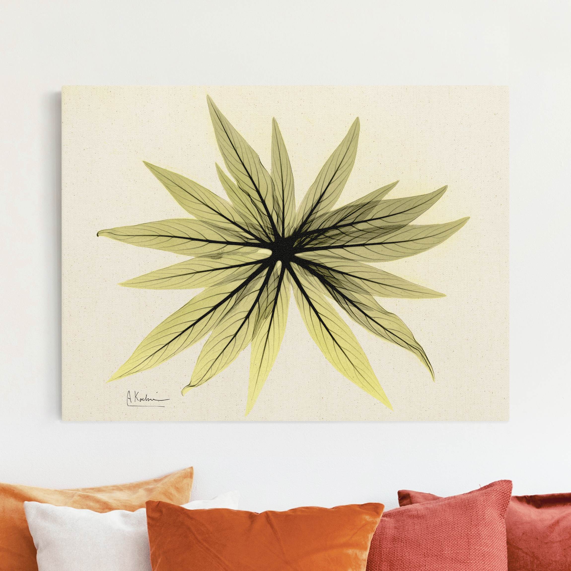 Leinwandbild auf Canvas Natural X-Ray - Natternkopfblätter