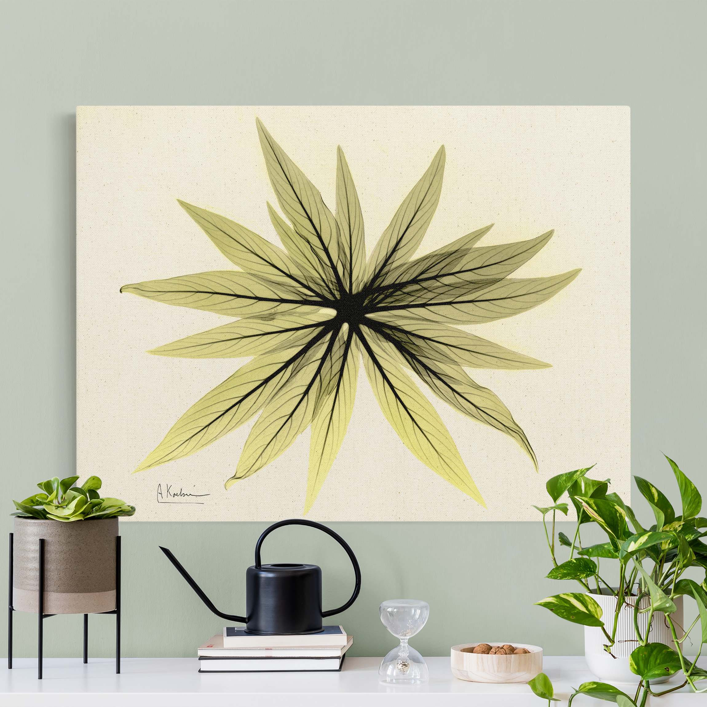 Leinwandbild auf Naturcanvas X-Ray - Natternkopfblätter