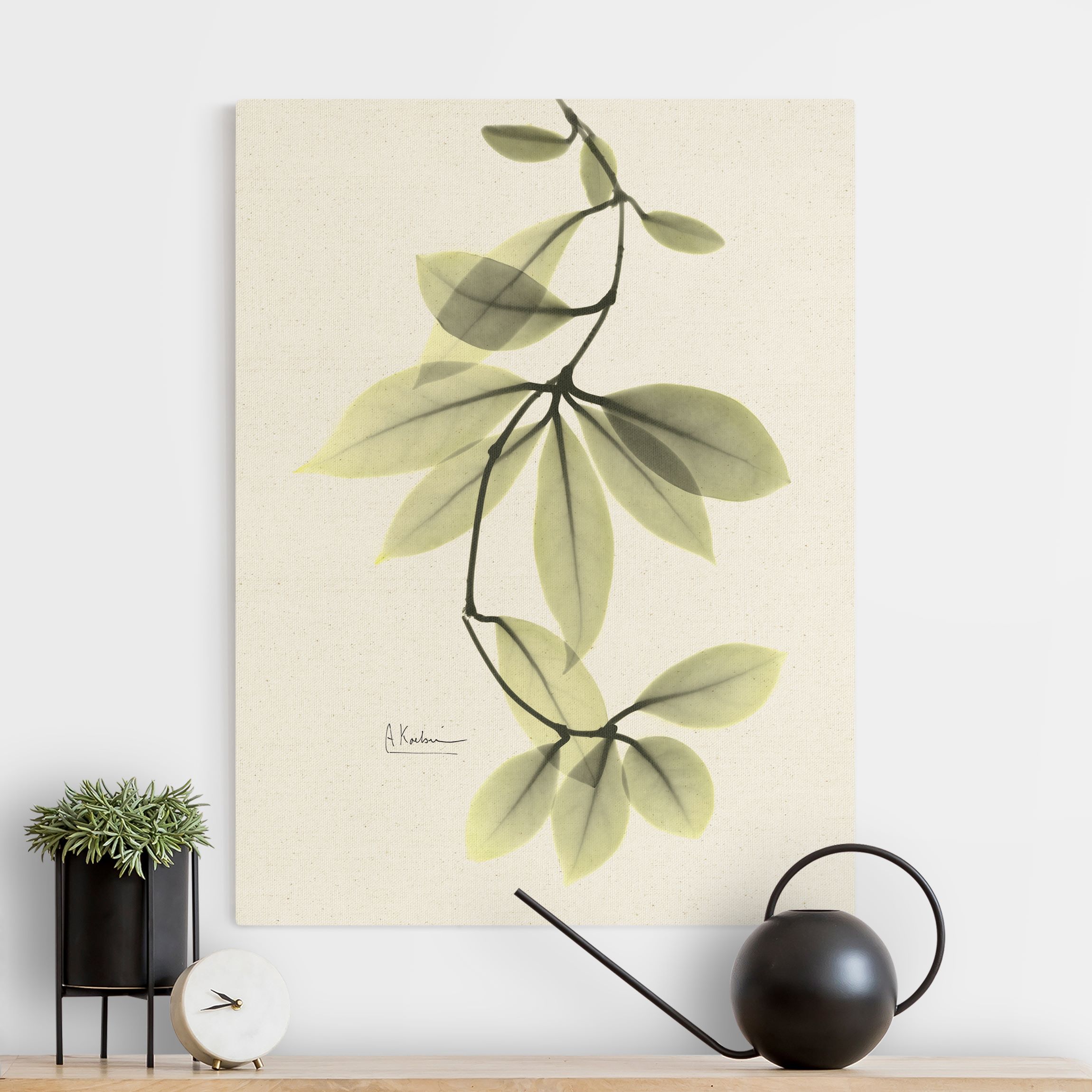 Leinwandbild auf Canvas Natural X-Ray - Porzellanblumenblätter