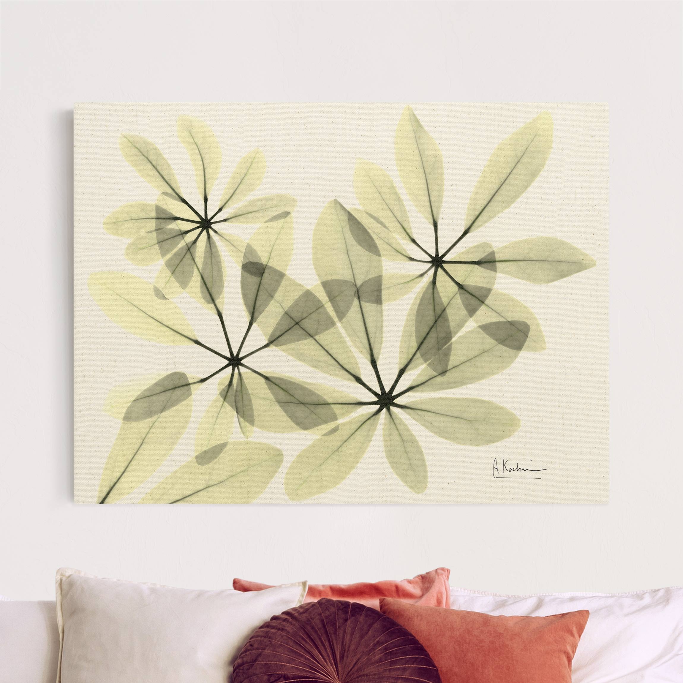 Leinwandbild auf Canvas Natural X-Ray - Schefflera