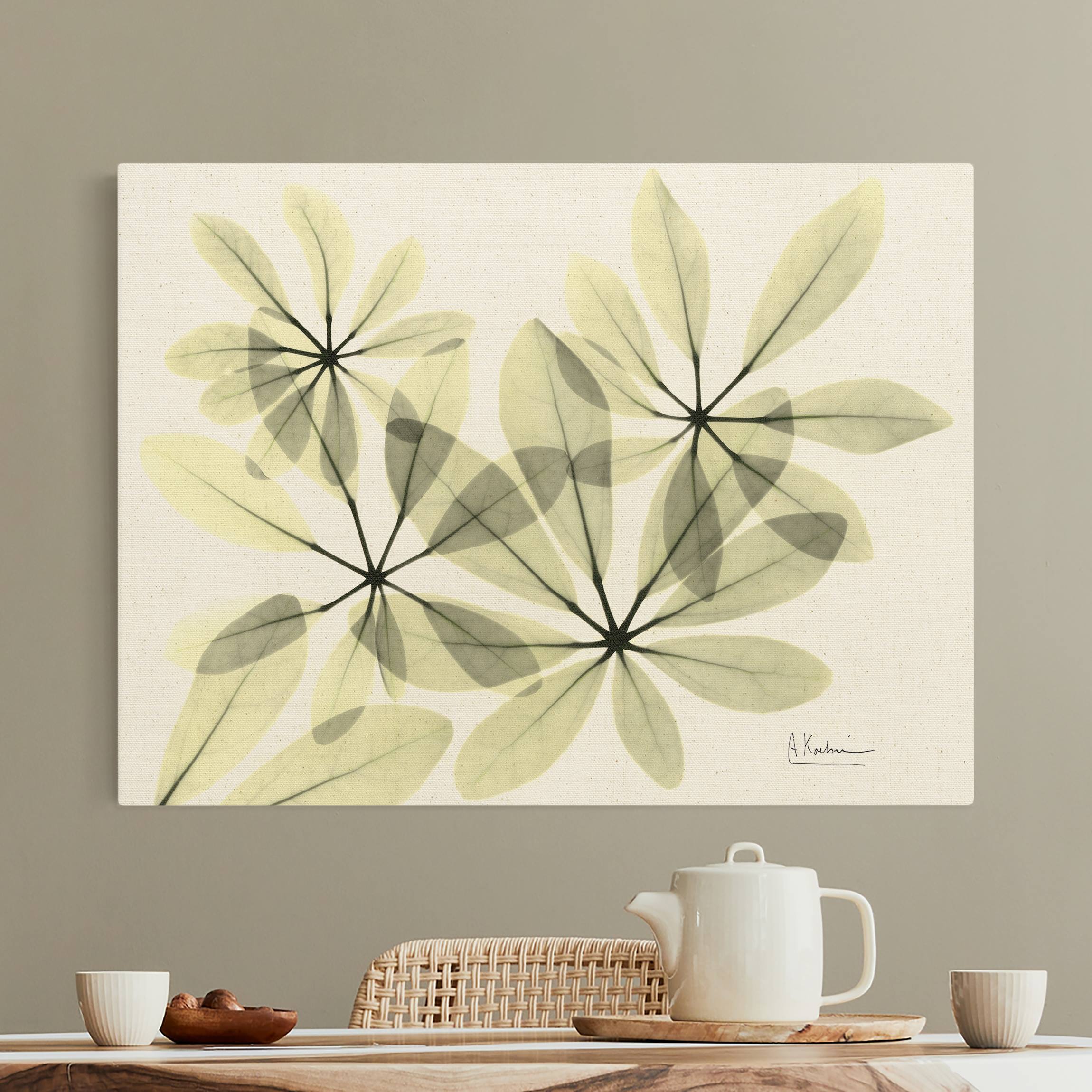 Leinwandbild auf Naturcanvas X-Ray - Schefflera
