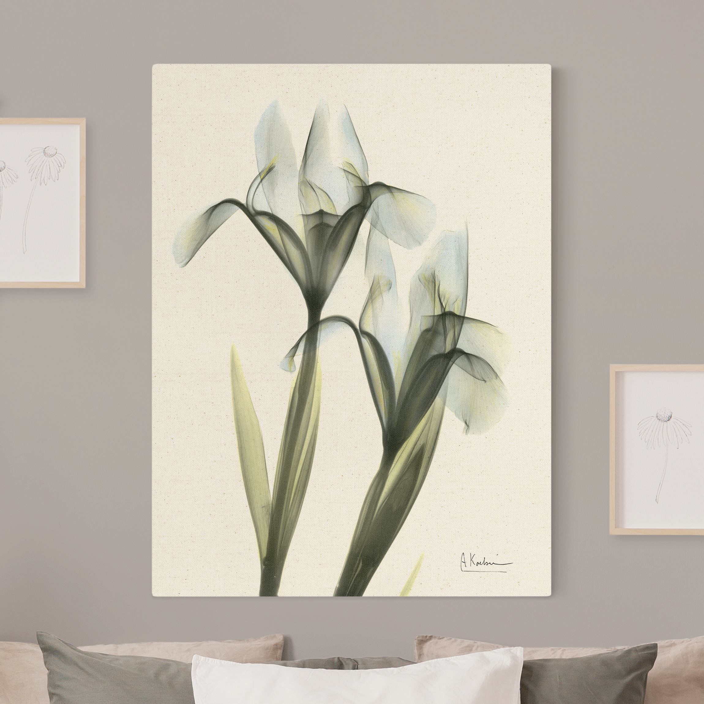 Leinwandbild auf Naturcanvas X-Ray - Schwertlilie