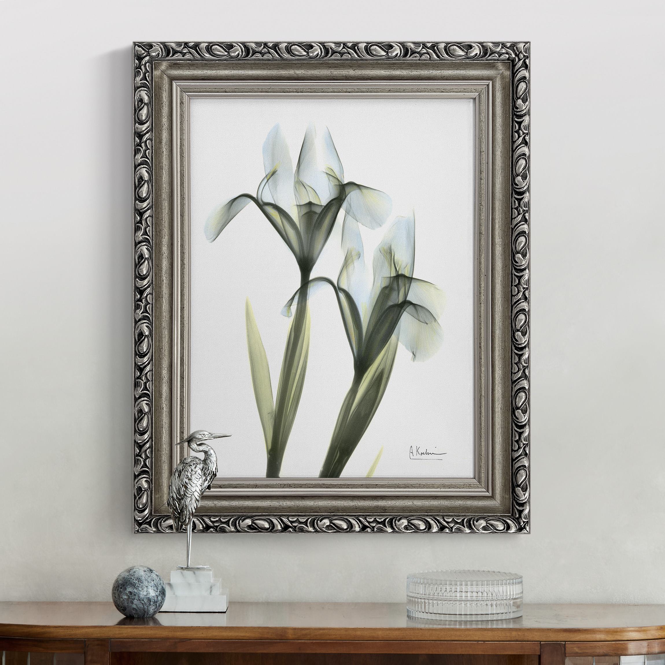 Leinwandbild mit Barockrahmen X-Ray - Schwertlilie