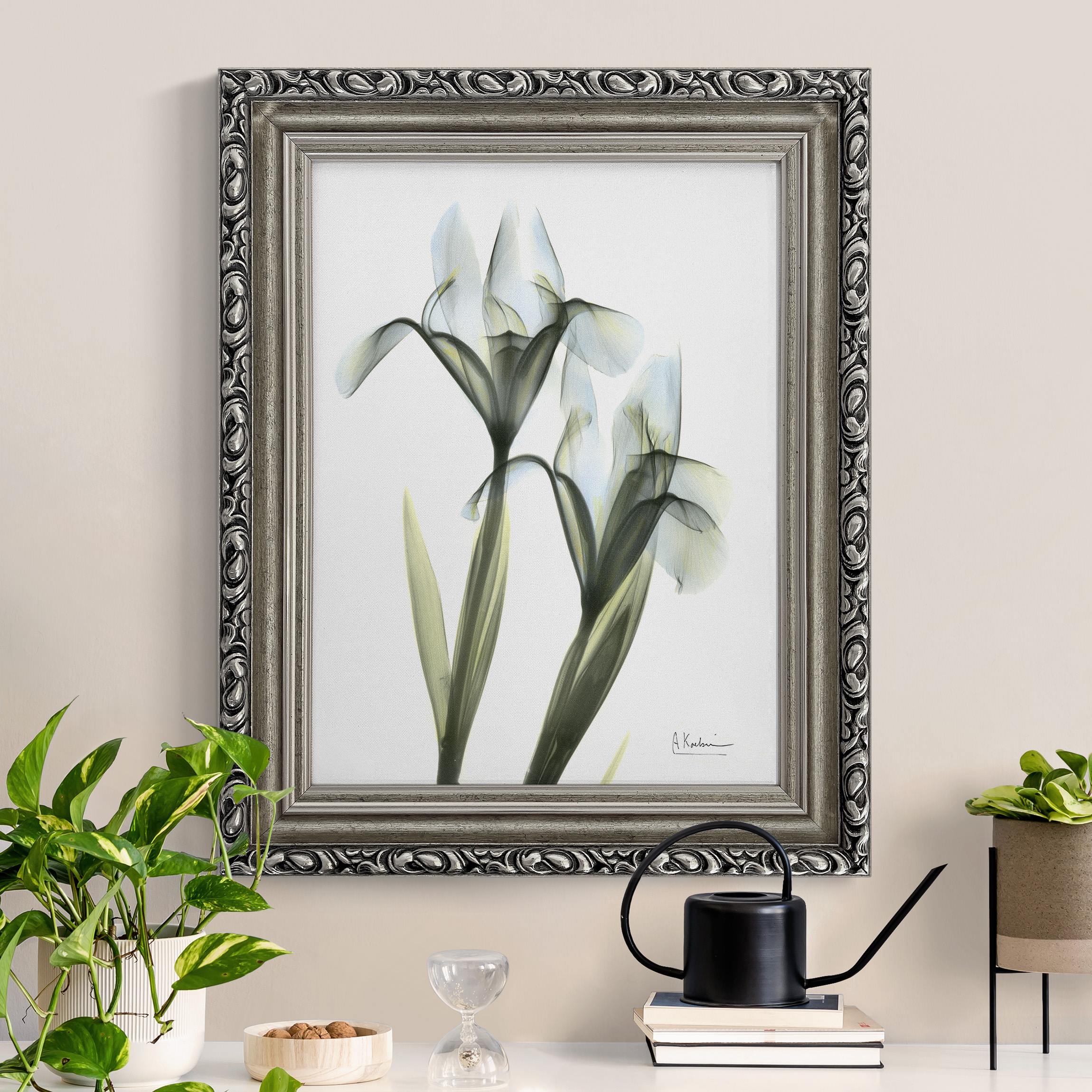 Leinwandbild in Barockrahmen X-Ray - Schwertlilie