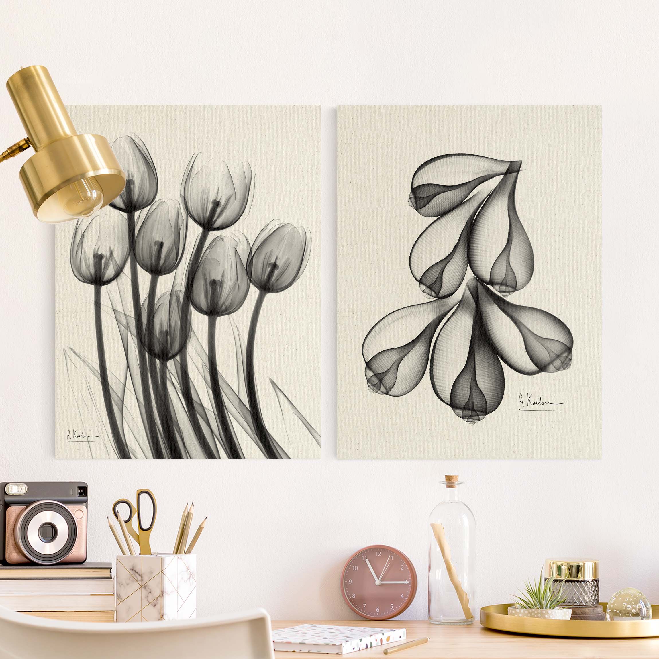 Leinwandbild 2-teilig X-Ray - Tulpen & Feigenschalen