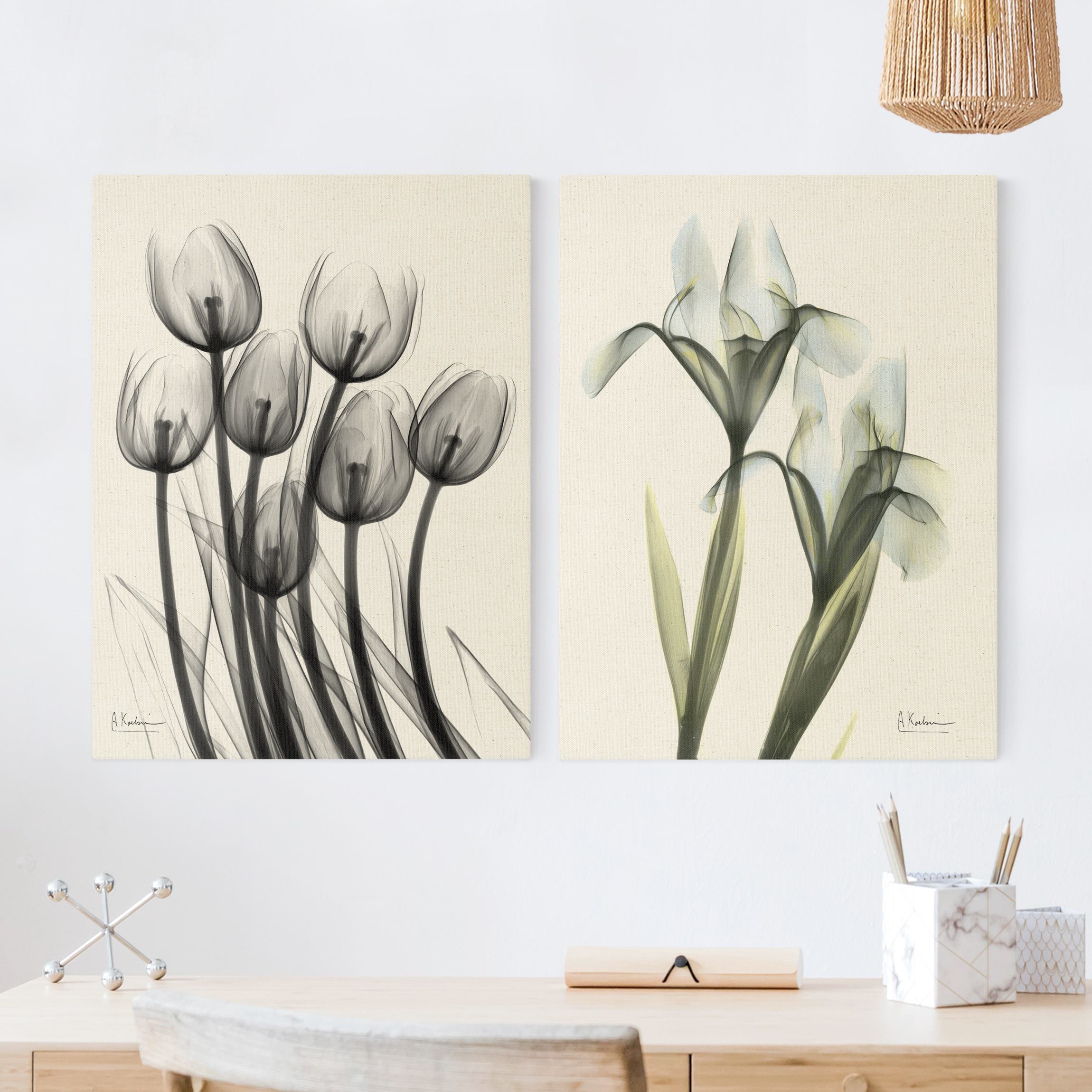 2-teiliges Leinwandbild X-Ray - Tulpen & Schwertlilie