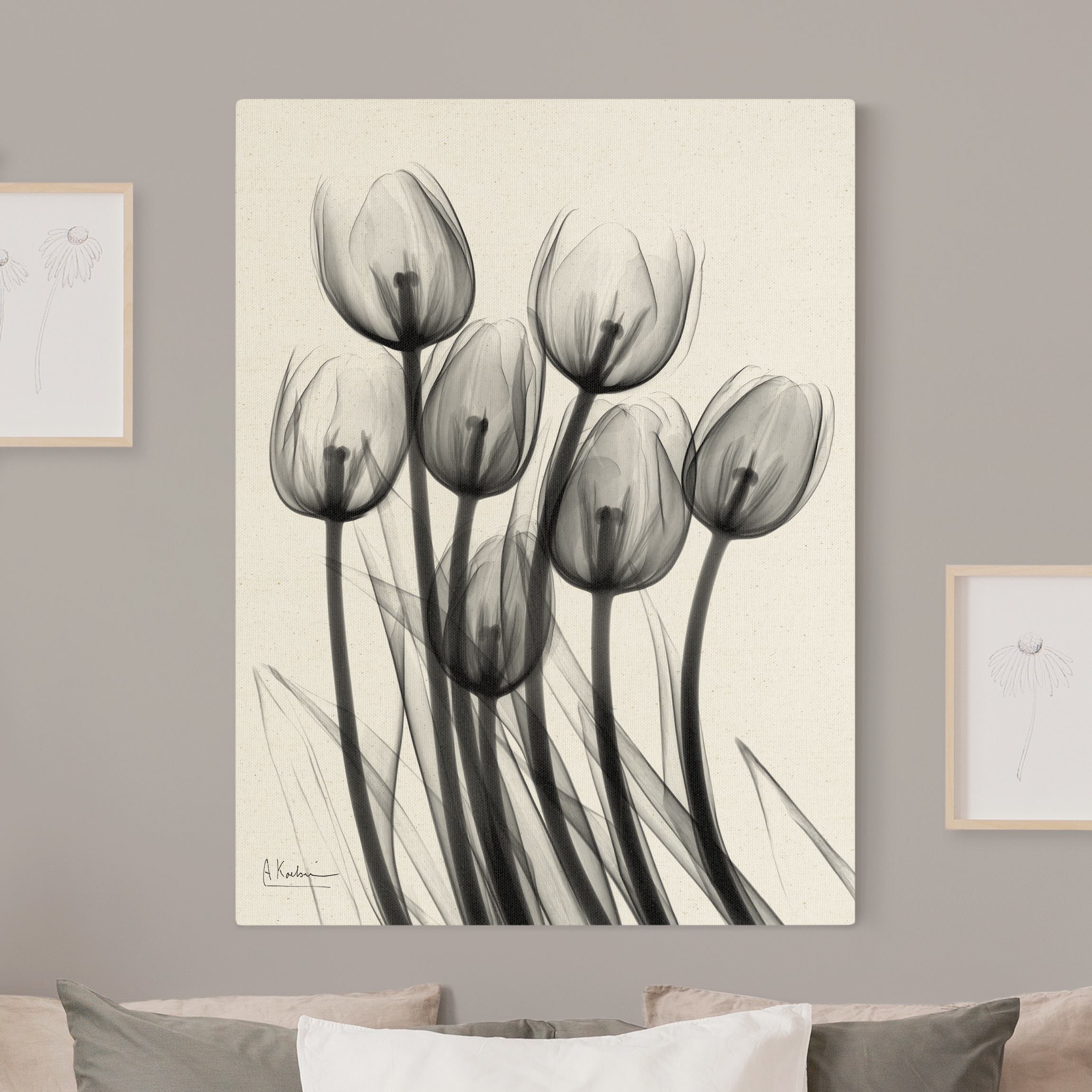 Leinwandbild auf Naturcanvas X-Ray - Tulpen