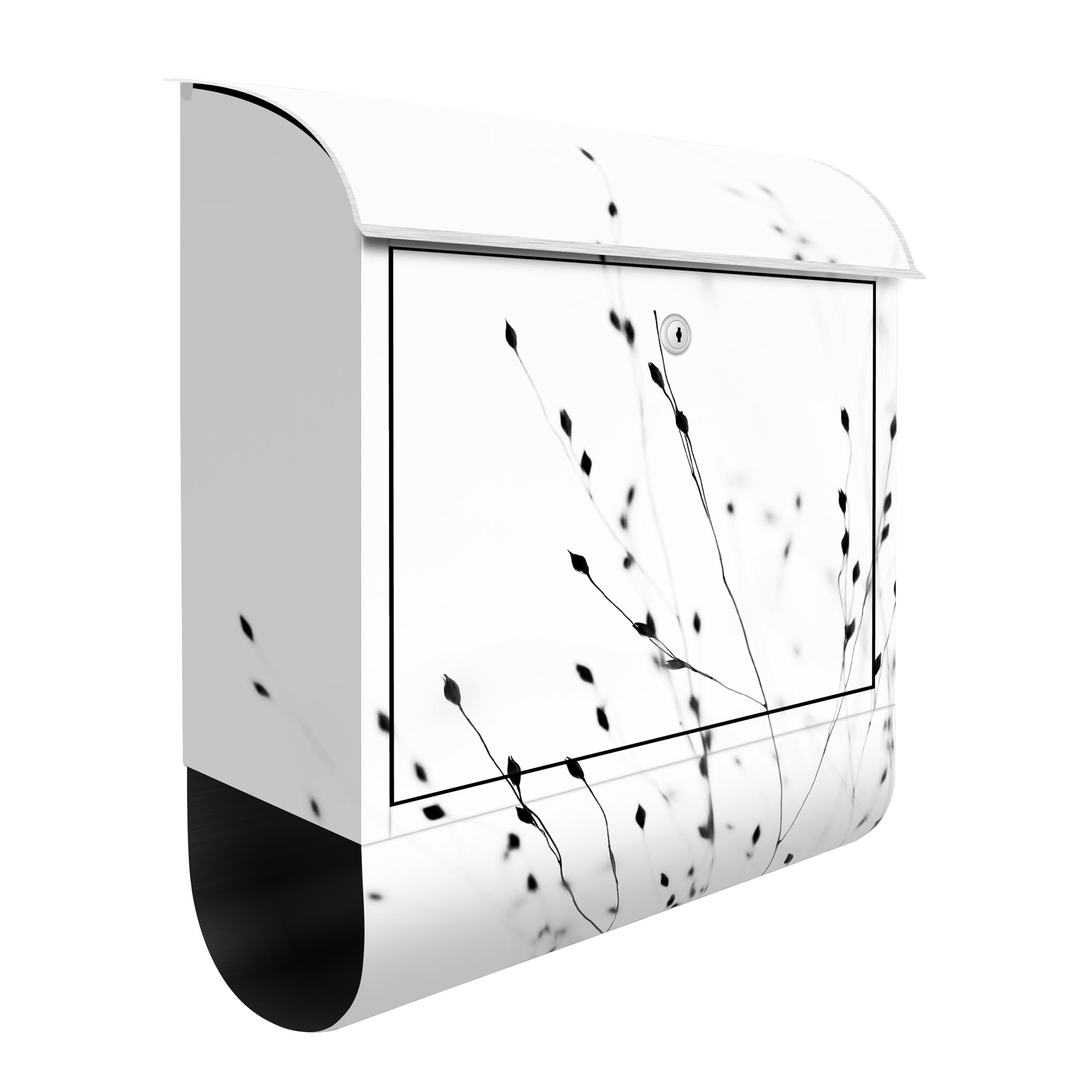 Briefkasten Zarte Gräser im Schatten