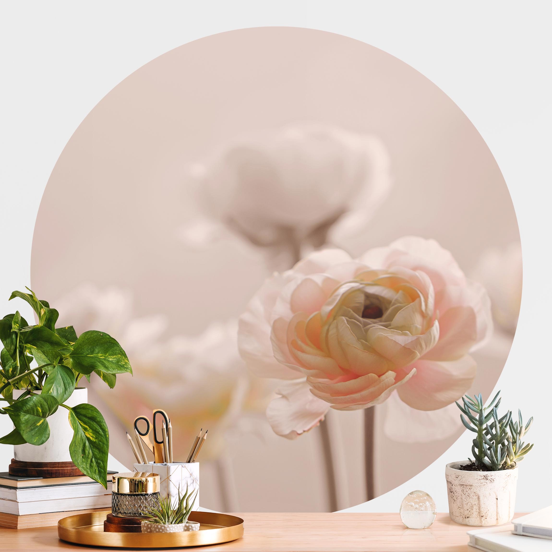 Runde Fototapete Zarter Strauch an Rosa Blüten
