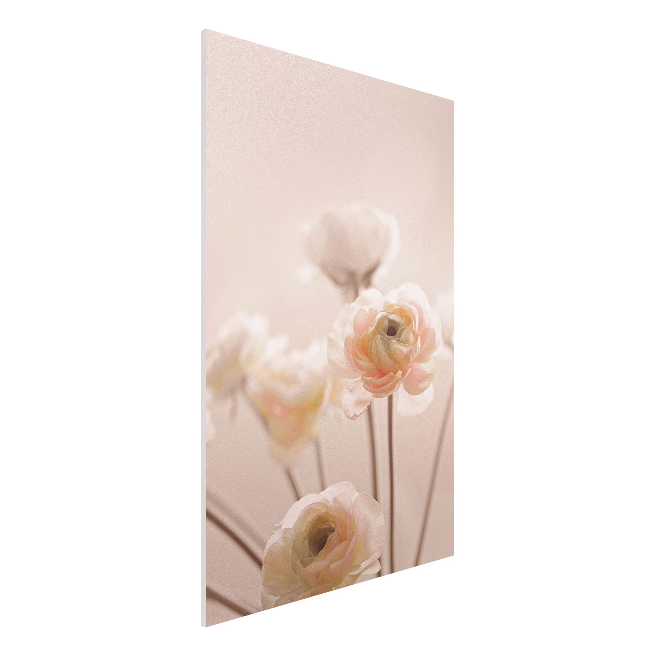 Forexbild Zarter Strauch an Rosa Blüten