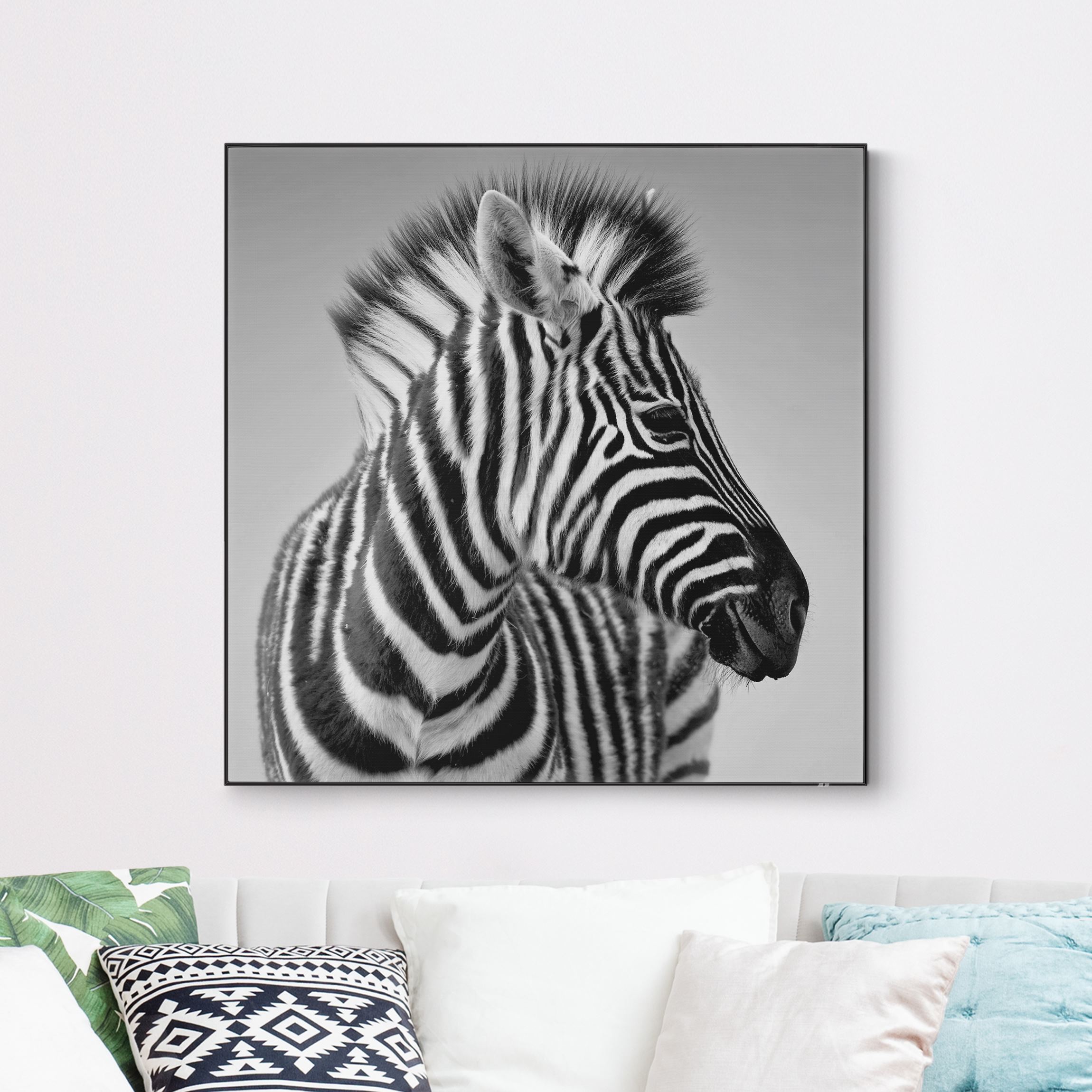 Wechselbild Zebra Baby Portrait II
