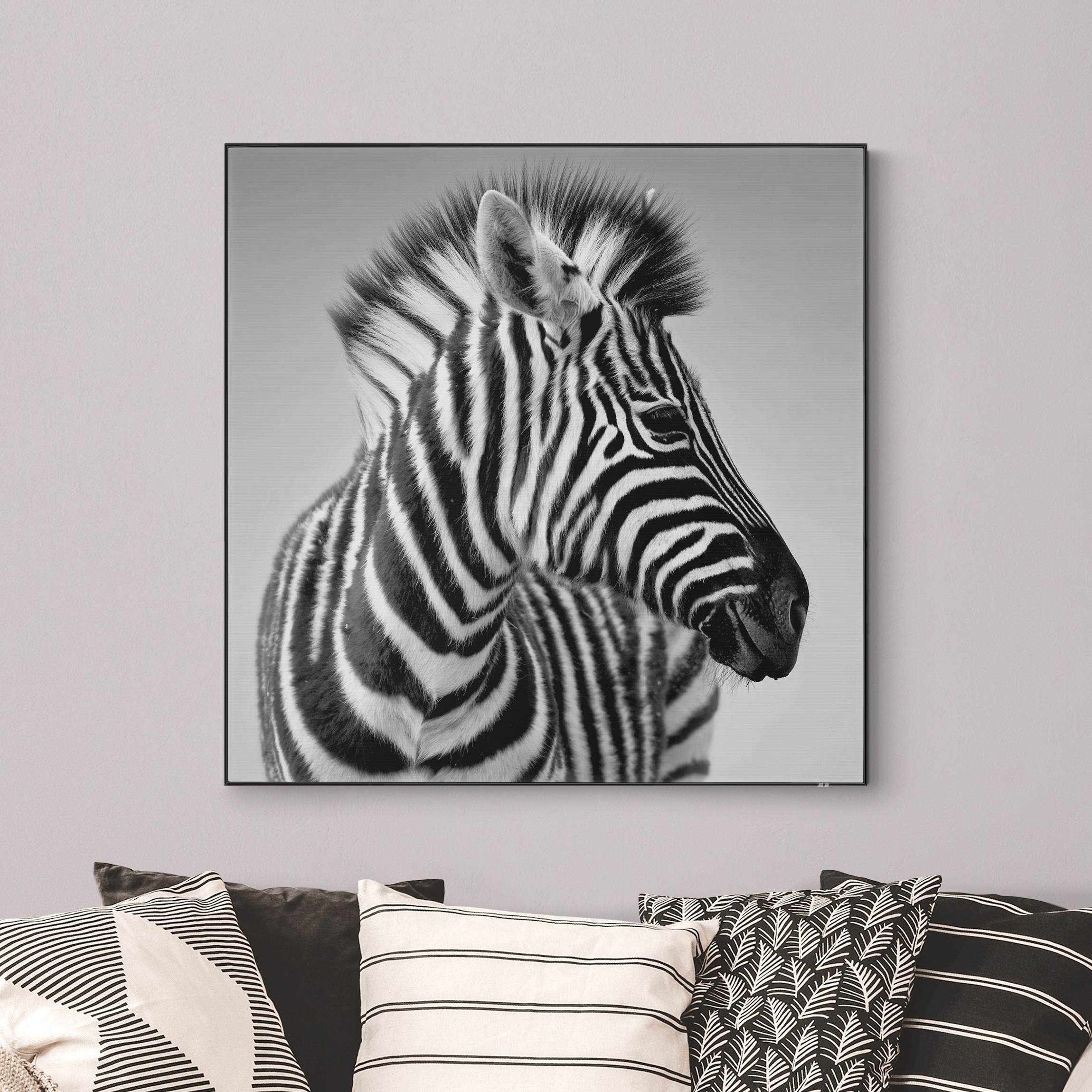 Wechselbild Zebra Baby Portrait II