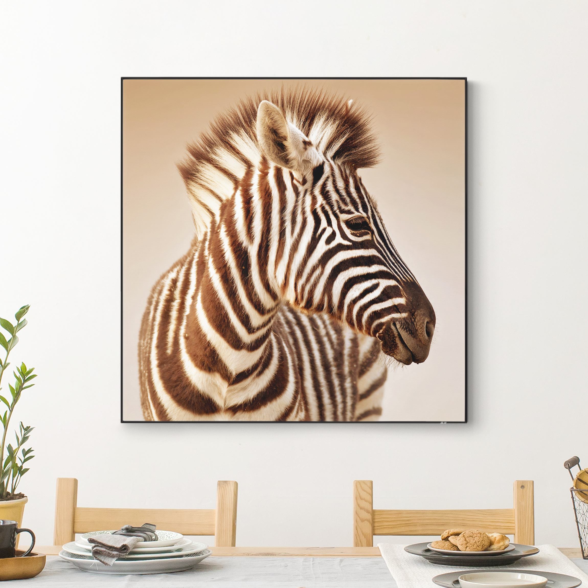 Wechselbild Zebra Baby Portrait