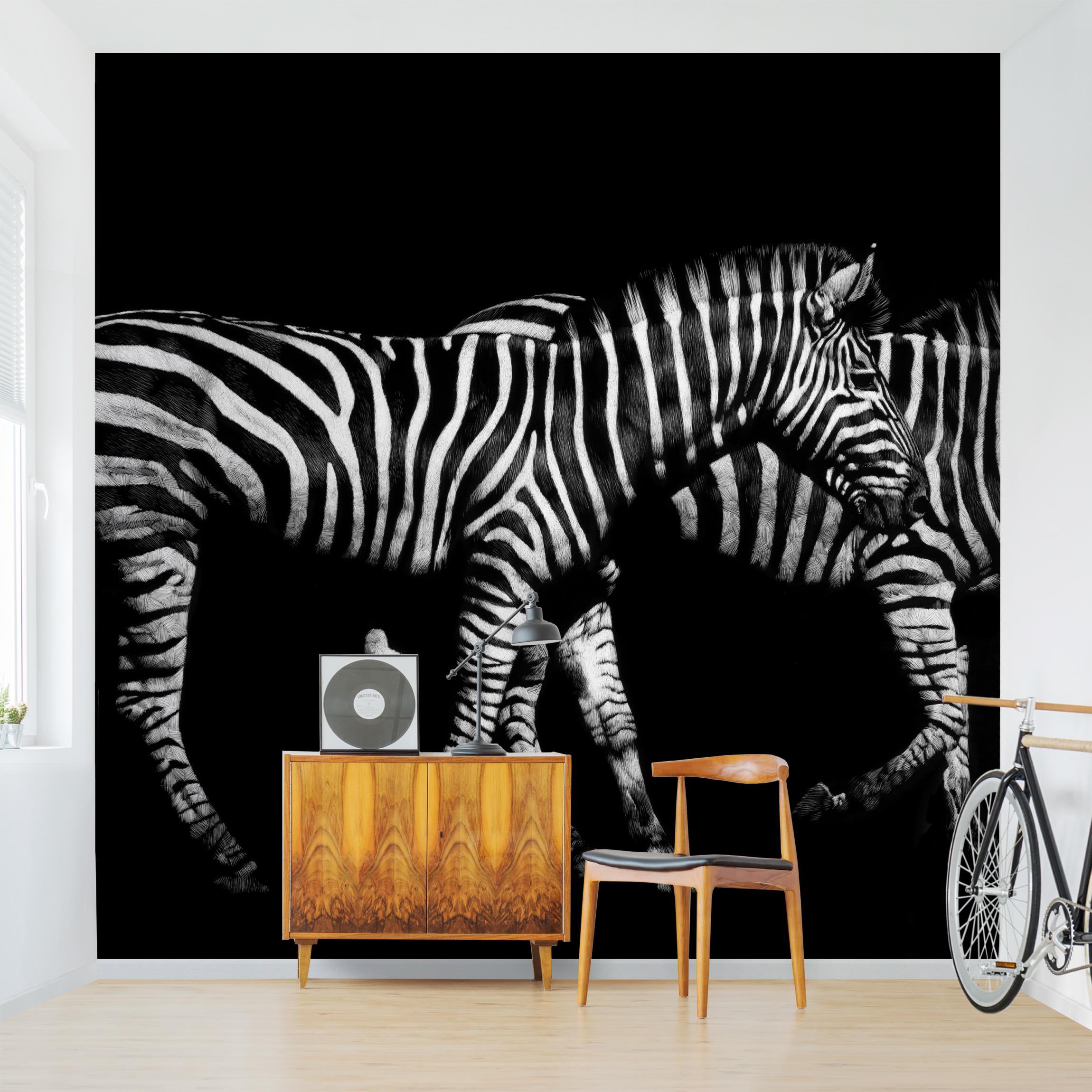 Fototapete Tiere Zebra vor Schwarz