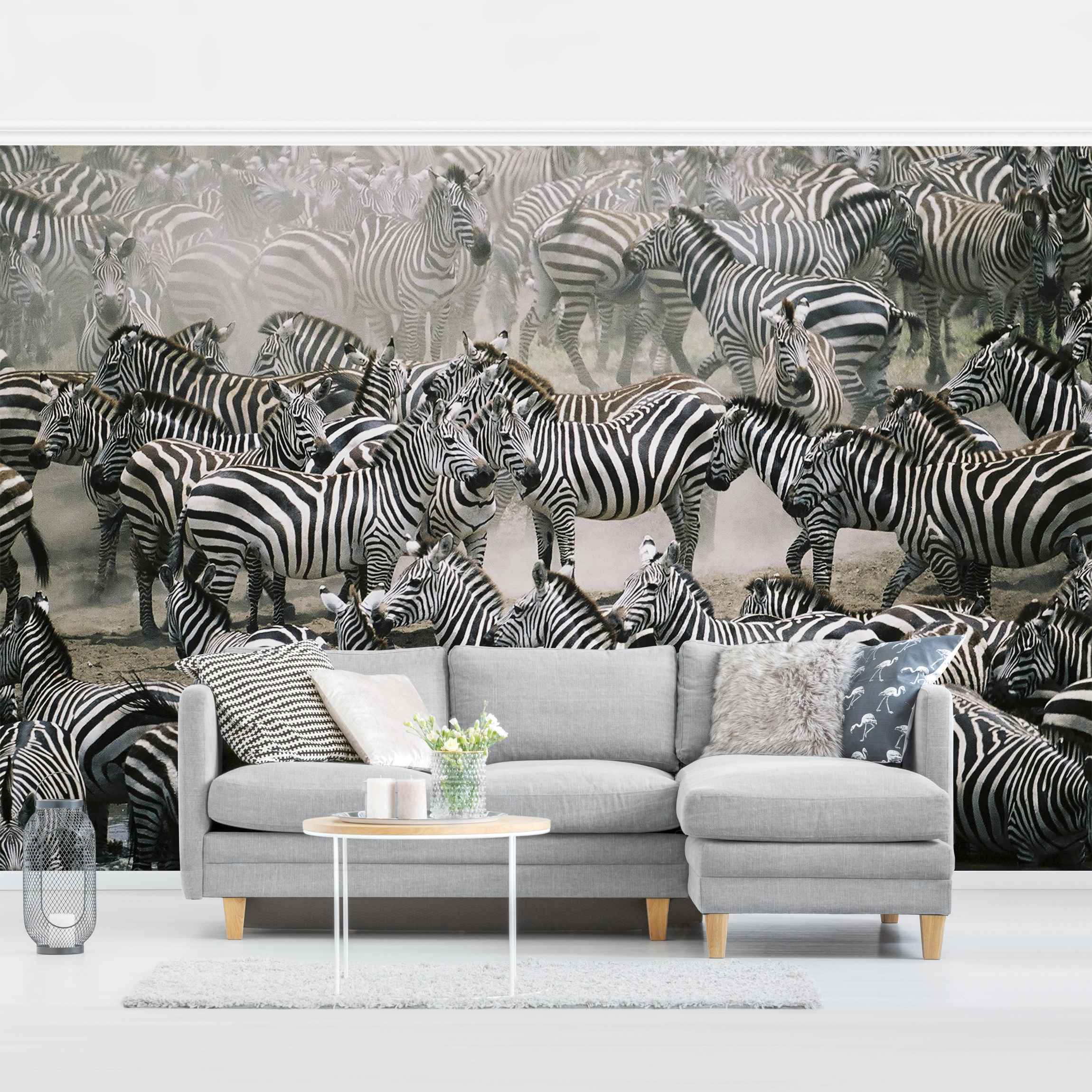 Fototapete Tiere Zebraherde