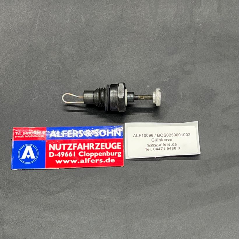 Glühkerze Bosch, 0250001002
