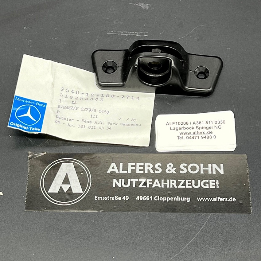 Lagerbock Spiegel Arm Mercedes 1017 / NG, unten (2-Loch Befestigung), A3818110336