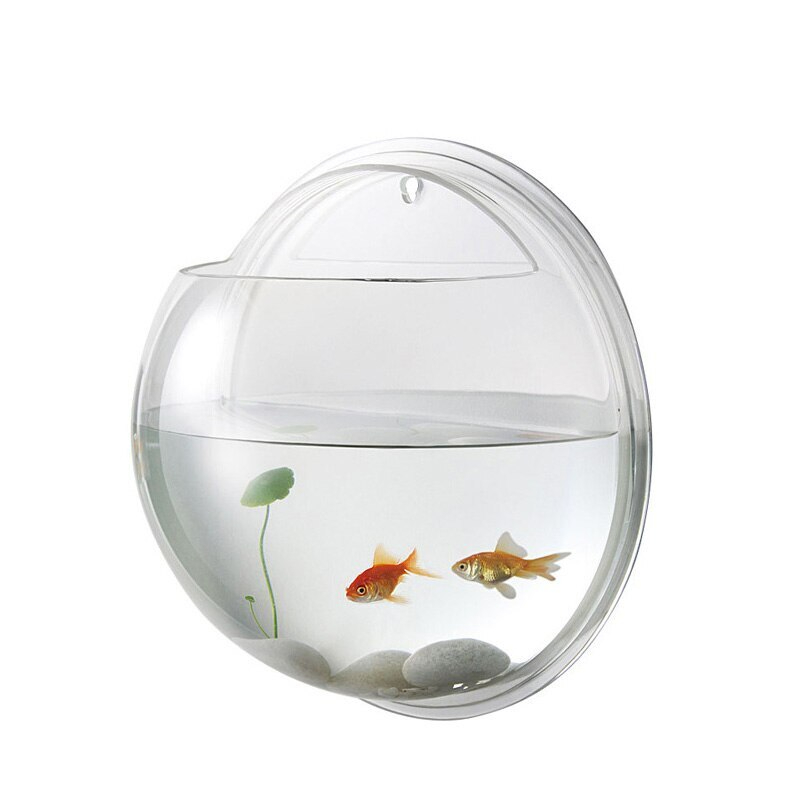 1 stücke Klare Hängende Zauberstab Montiert Fisch Schüssel Aquaponic Panzer Aquarien Anlage Fisch blasiert #15