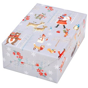 JUNG SCHÖNER VERPACKEN Geschenkpapier Aberdeen mehrfarbig, 20,0 m