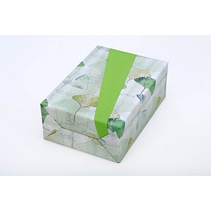 JUNG SCHÖNER VERPACKEN Geschenkpapier Ginkgo mehrfarbig beidseitig bedruckt, 20,0 m