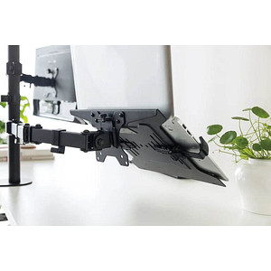 Neomounts Laptop-Halterung NOTEBOOK-V200 schwarz für 1 Notebook