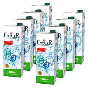 EXTALER MINERALQUELL naturell Mineralwasser 8x 1,5 l