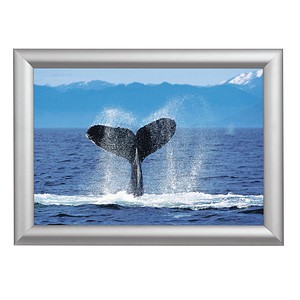 Showdown® Displays  Klapprahmen silber 45,1 x 62,5 cm, 1 St.