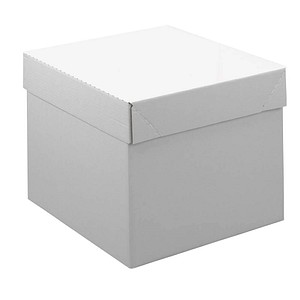 Nestler Kartons mit abnehmbarem Deckel 43,8 x 38,5 x 33,6 cm, 20 St.