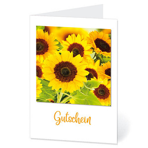 LUMA Gutschein Sonnenblumen DIN B6