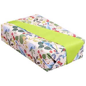 JUNG SCHÖNER VERPACKEN Geschenkpapier Mary Vintage Design mit Vögeln mehrfarbig beidseitig bedruckt, 20,0 m