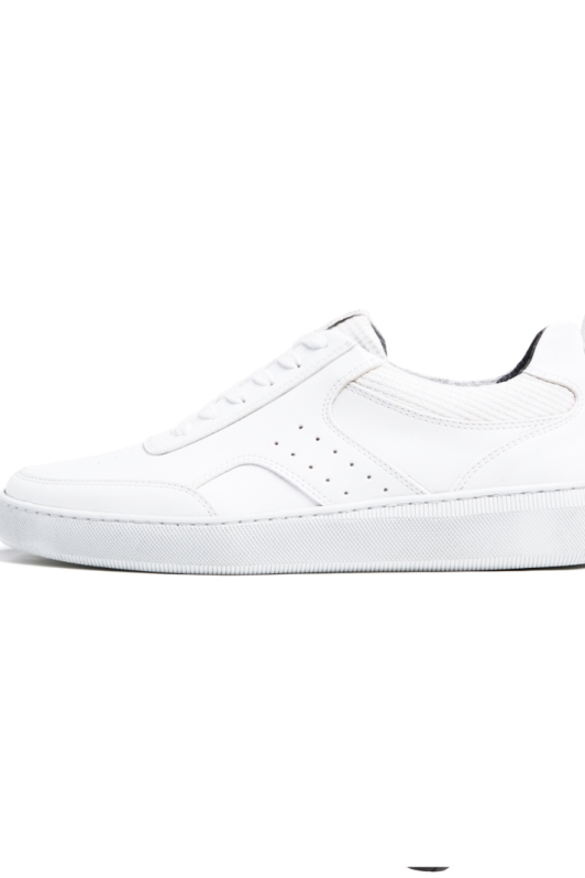 Will's Vegan Store Damen vegan MÃ¼nchen 2 Sneaker