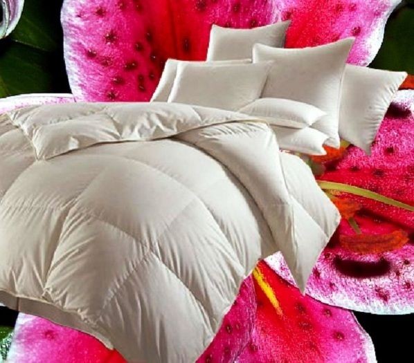 Hofmann´s Canada Kassetten Daunenbett Daunenbett Bettdecke 1200 g 4x6 155x220