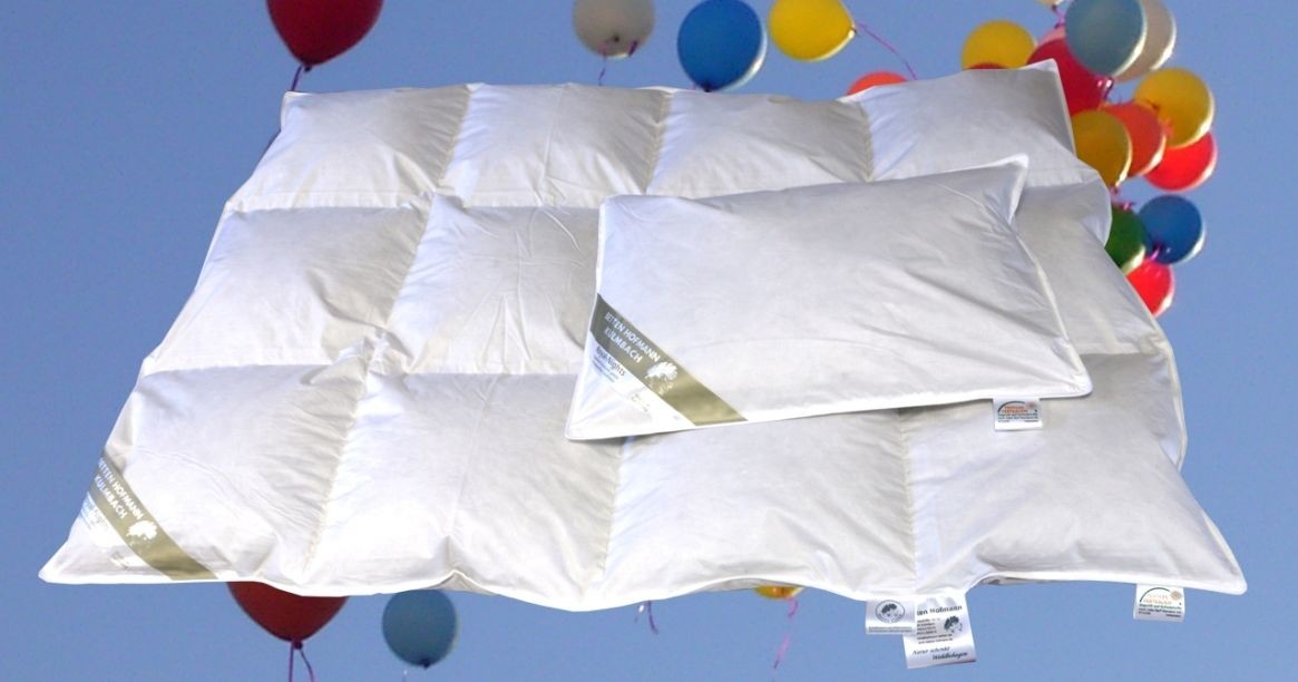 Betten Hofmann Baby Kinder Set Daunenbett 100x135 cm Daunendecke + Kissen 100...