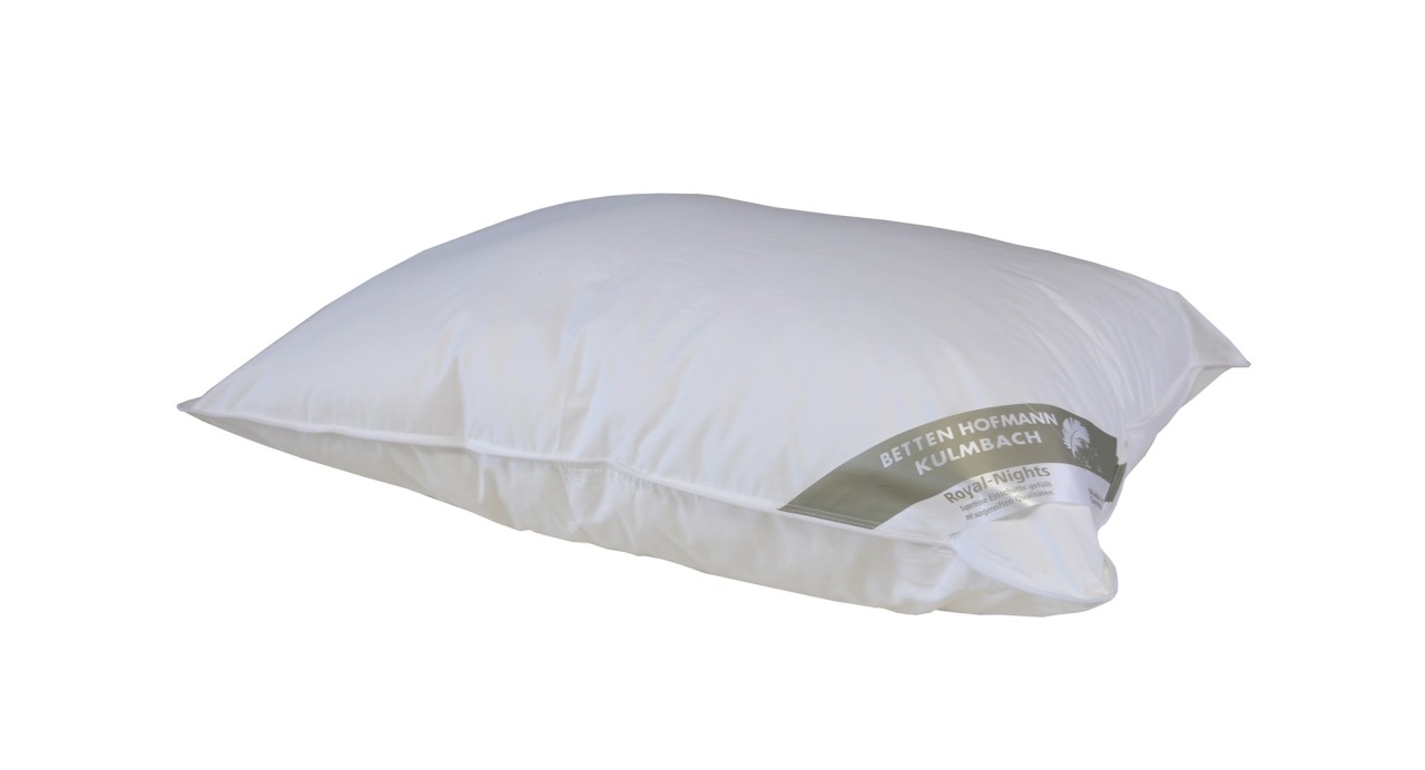 Betten Hofmann Canada Kopfkissen Polster 50x75 cm Daunen-Federkissen 30% Daun...