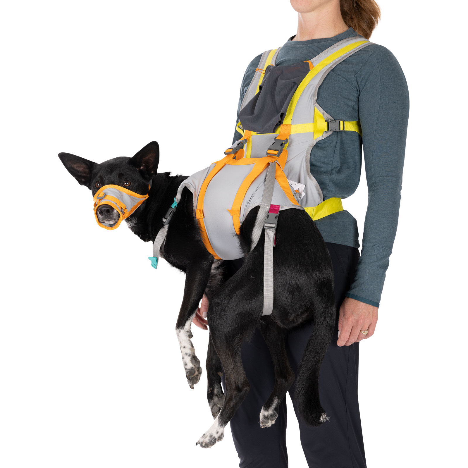 Ruffwear BackTrak™ Dog Evacuation Kit | 3584-045