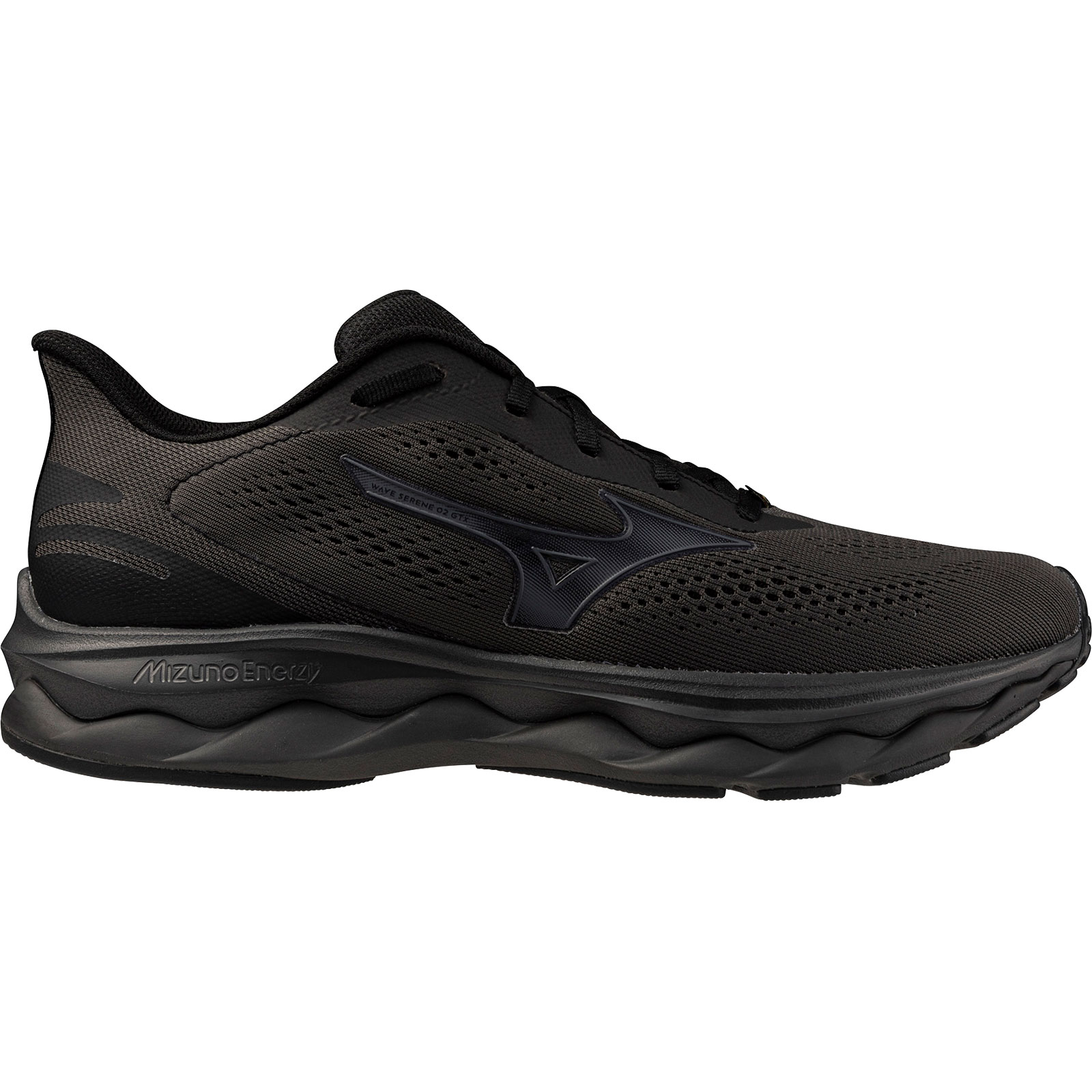 Mizuno Wave Serene 2 GTX Men | J1GC2560-01