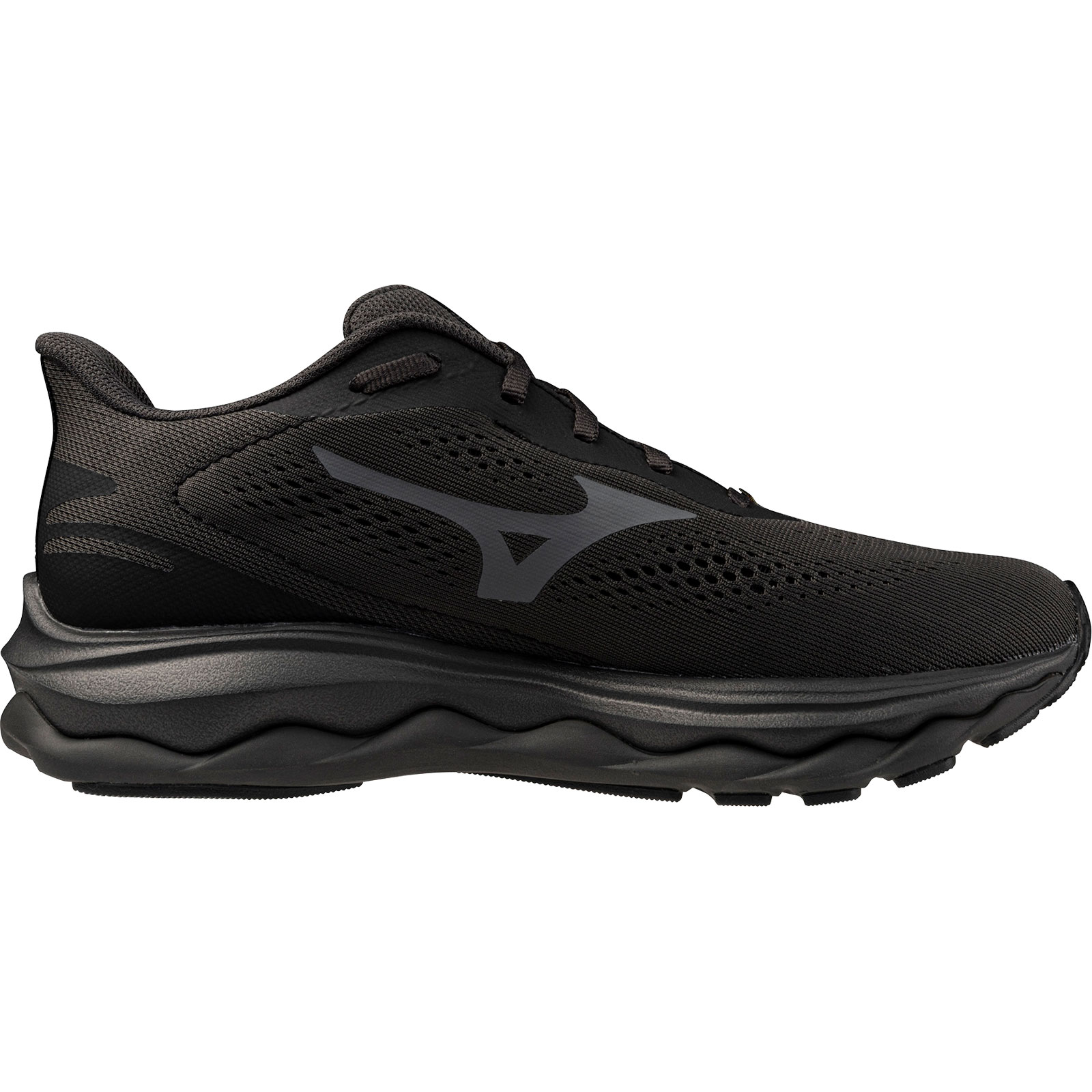 Mizuno Wave Serene 2 GTX Lady | J1GD2560-21