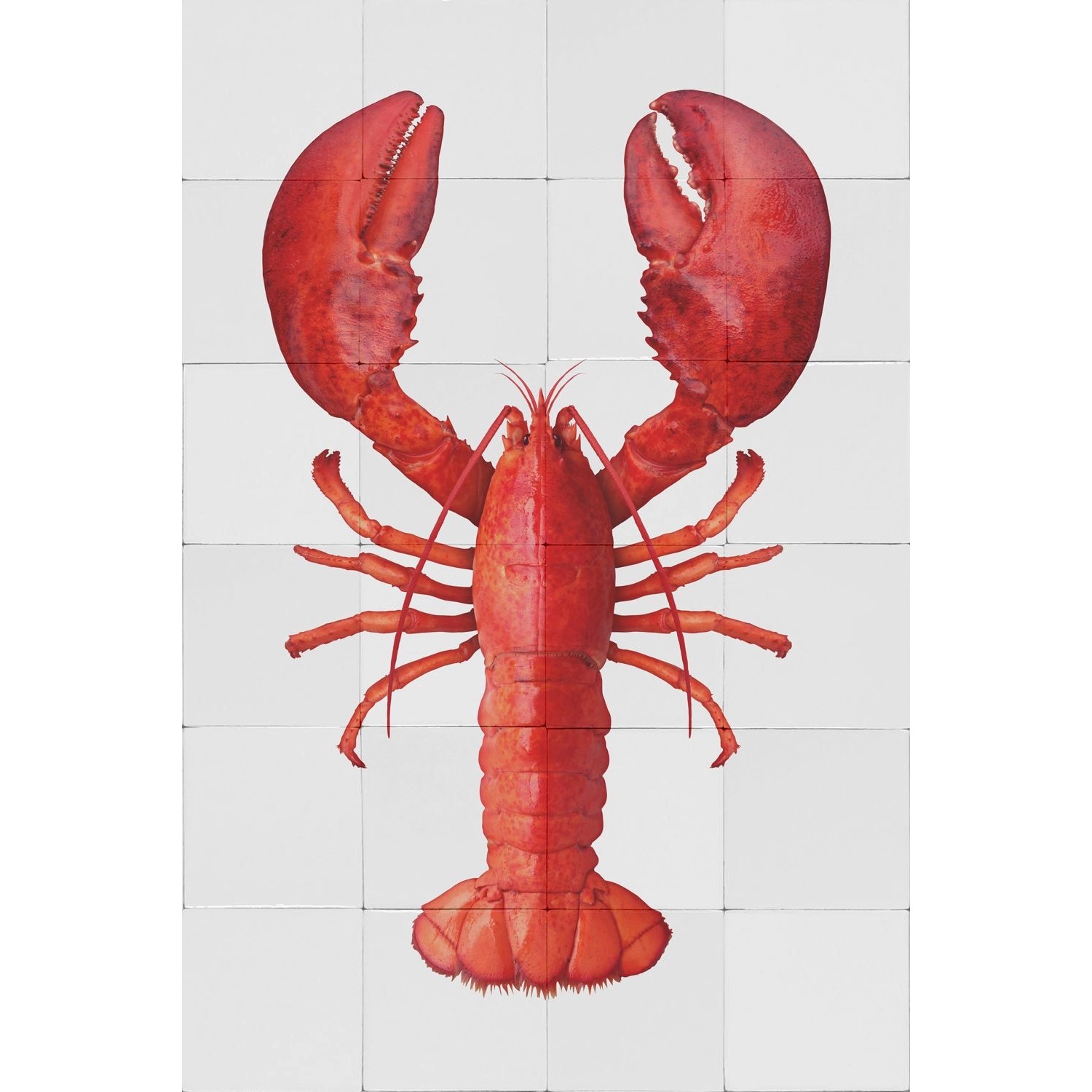 ESTAhome Wandtattoo Hummer Rot 70 x 46,5 cm 159035
