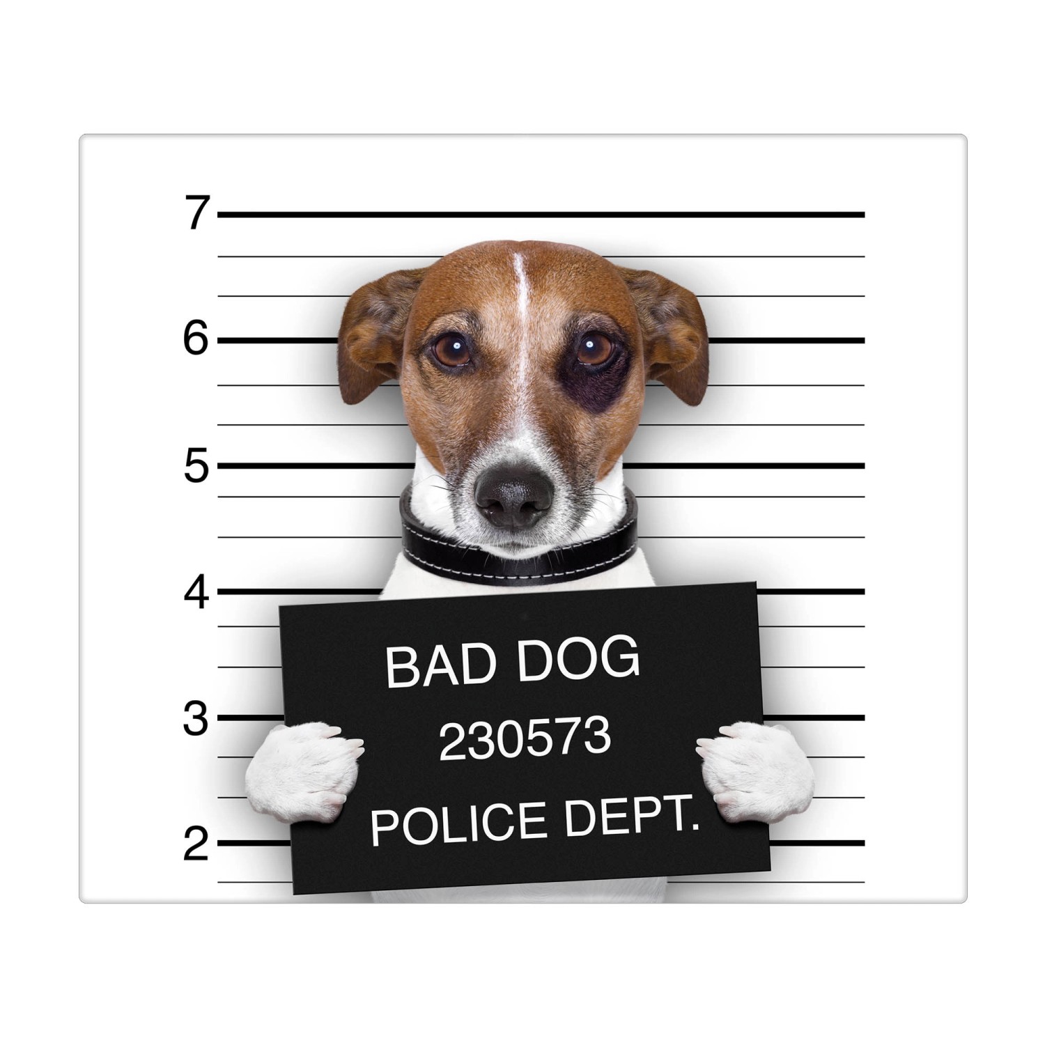 Banjado Herdabdeckplatte Glas 1 Teilig 60x52CM Schneidebrett Herdabdeckung Mit Motiv Bad Dog Jack Russel